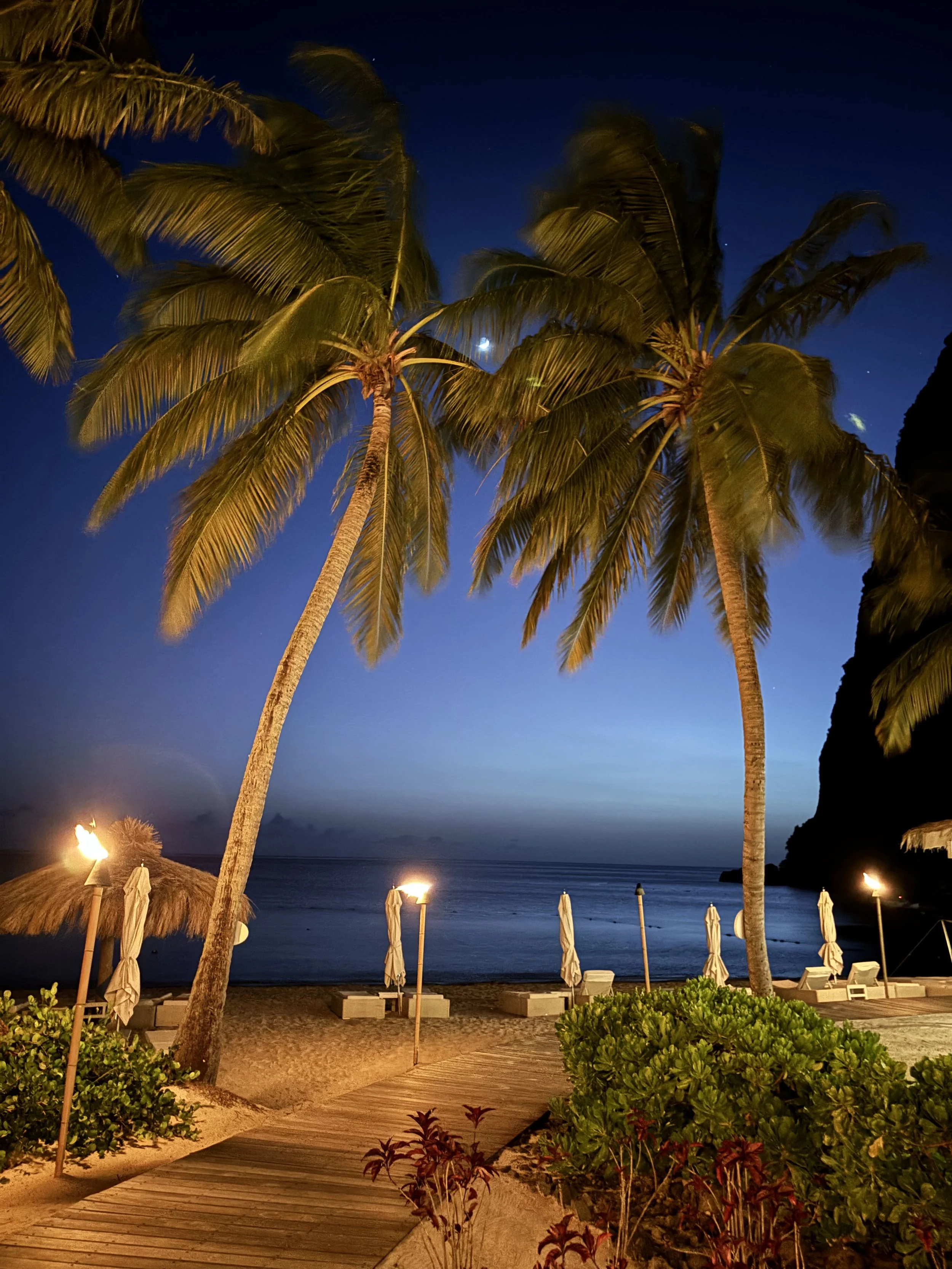 orch-lit beach path framed by palm trees at a romantic honeymoon destination in St. Lucia