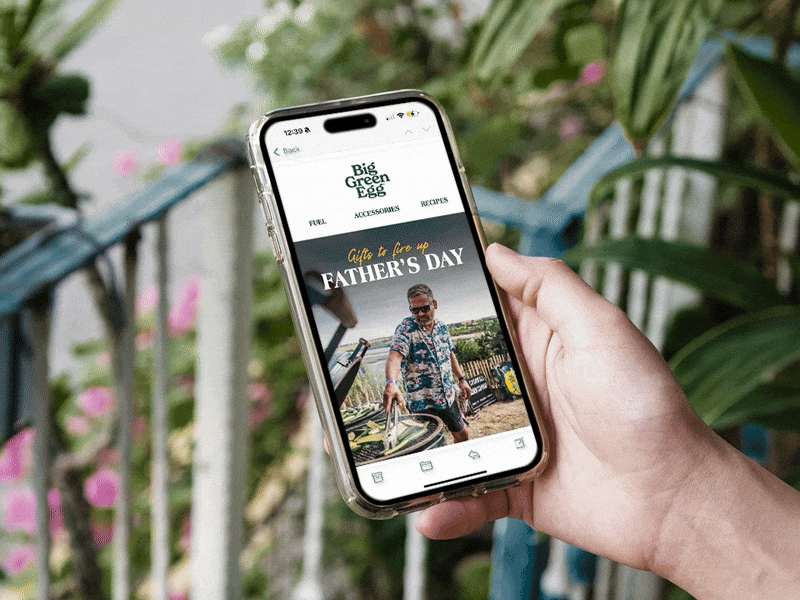 BigGreenEgg_EmailVideo-ezgif.com-optimize.gif