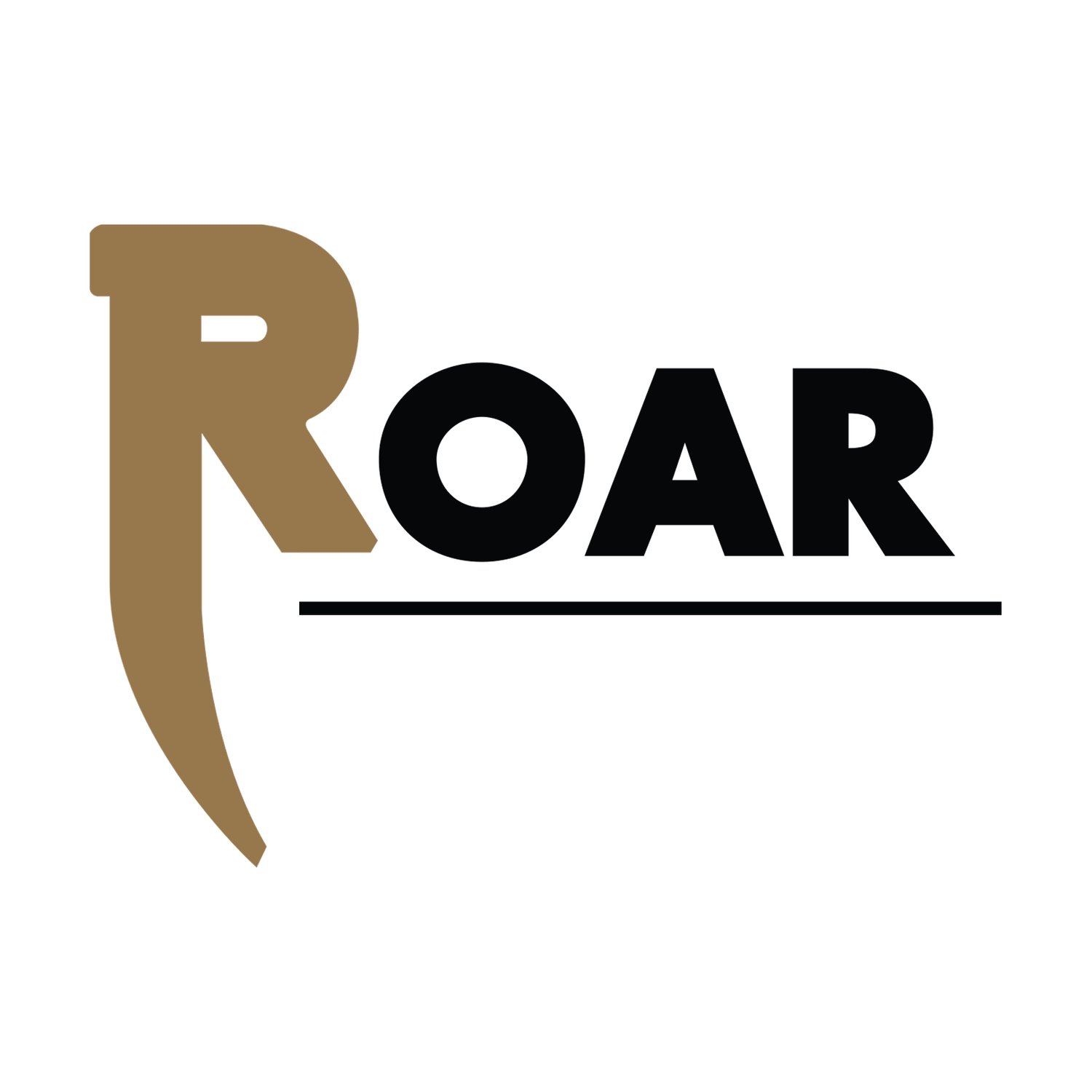 ROAR Holdings