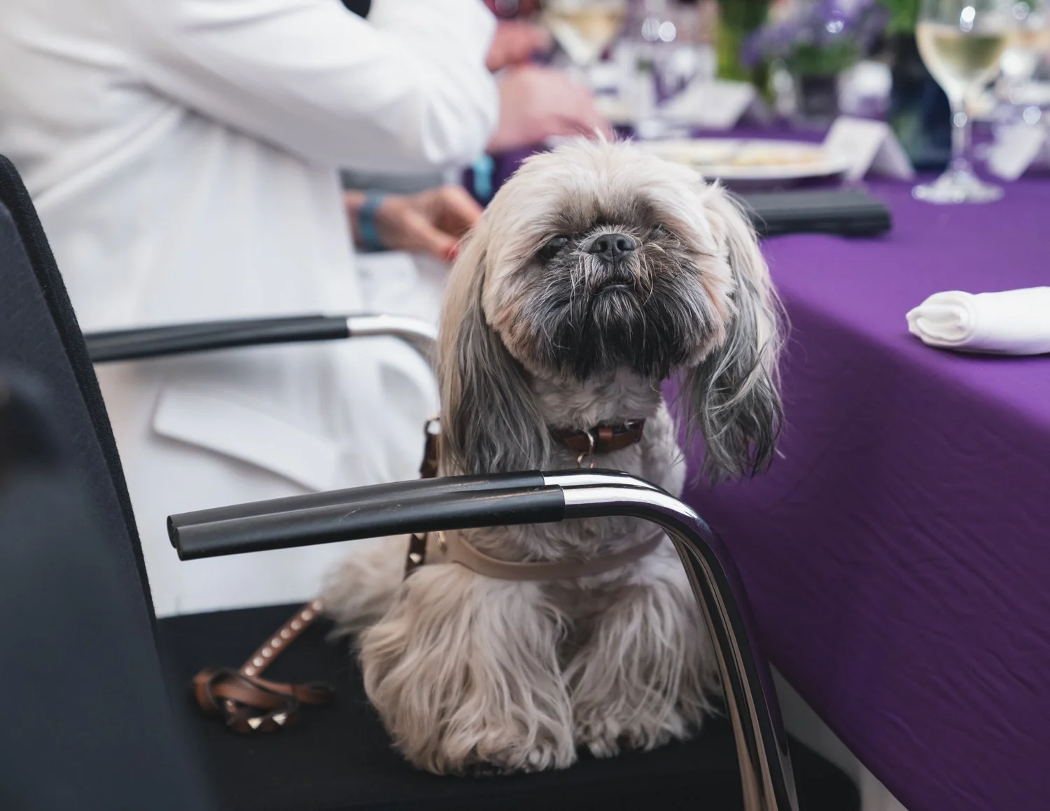 Alasdair's Pageant Watch Party 2022 - 274.jpg