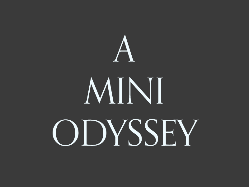 A Mini Odyssey