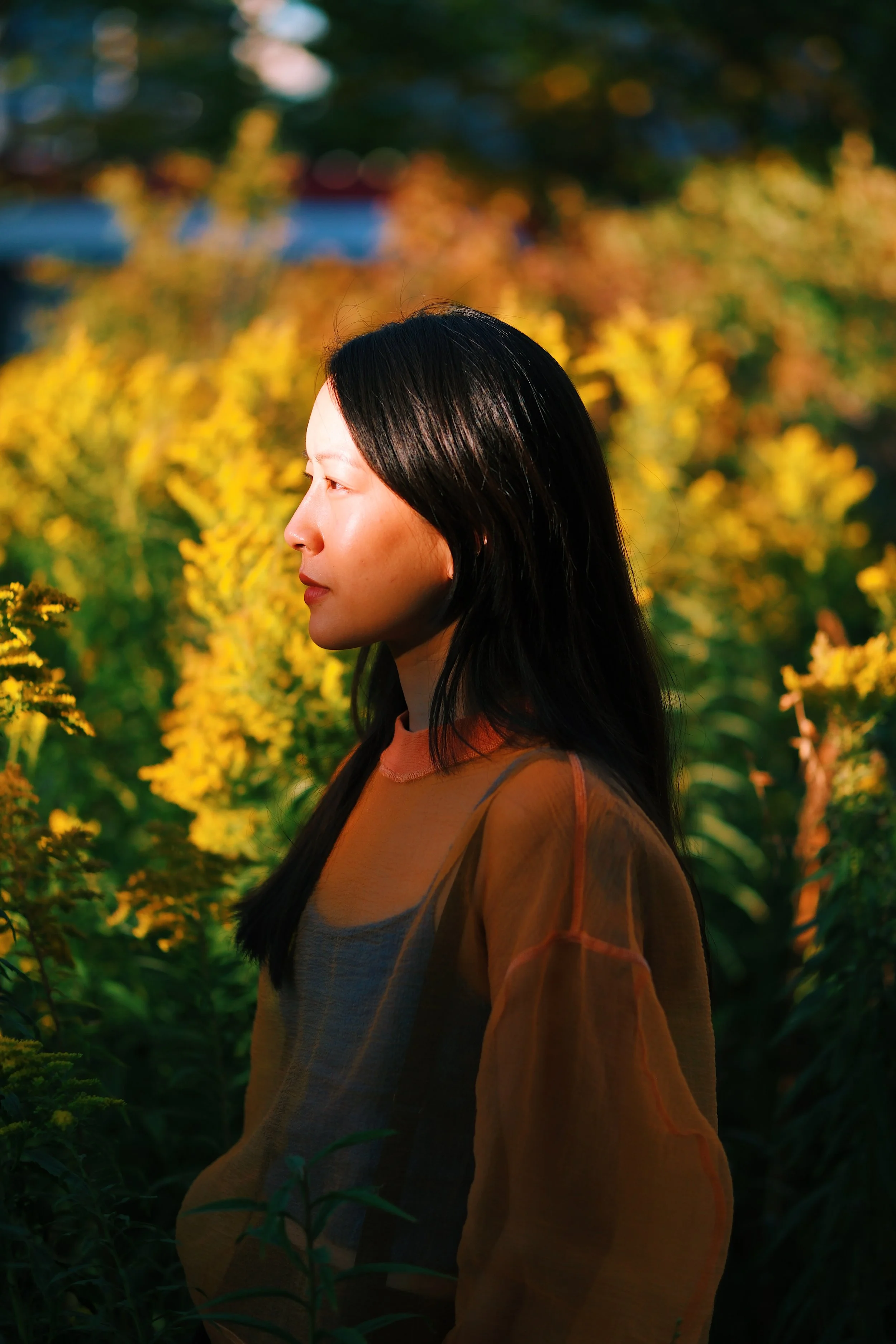 Flora 3