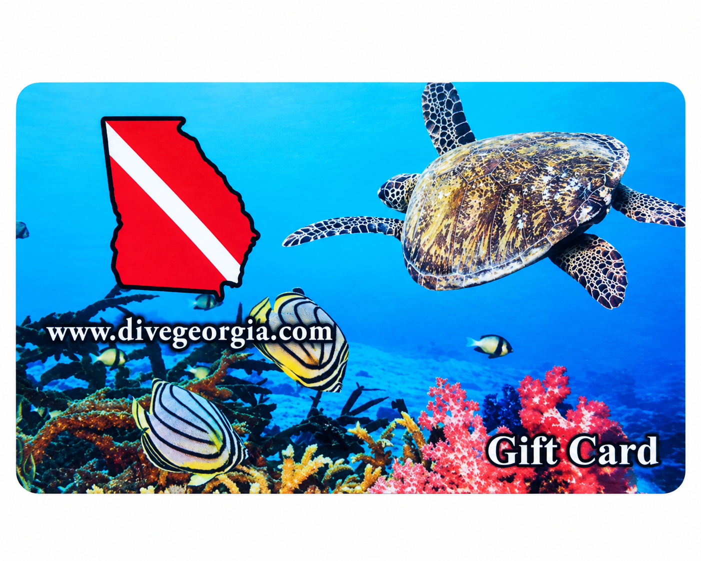 $250 Gift Card