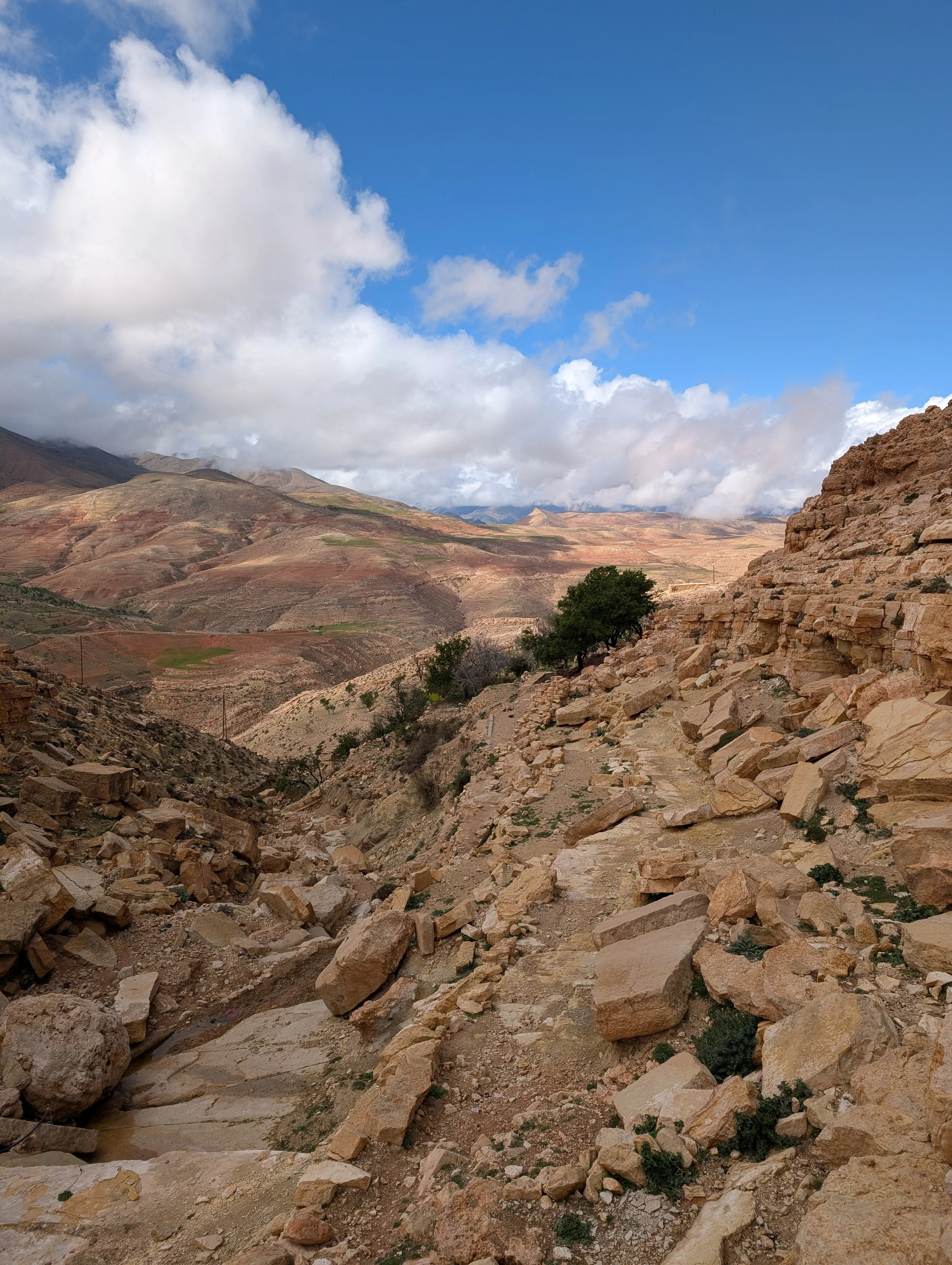 Birdwatching in Morocco