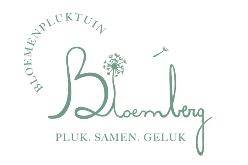 Bloemberg
