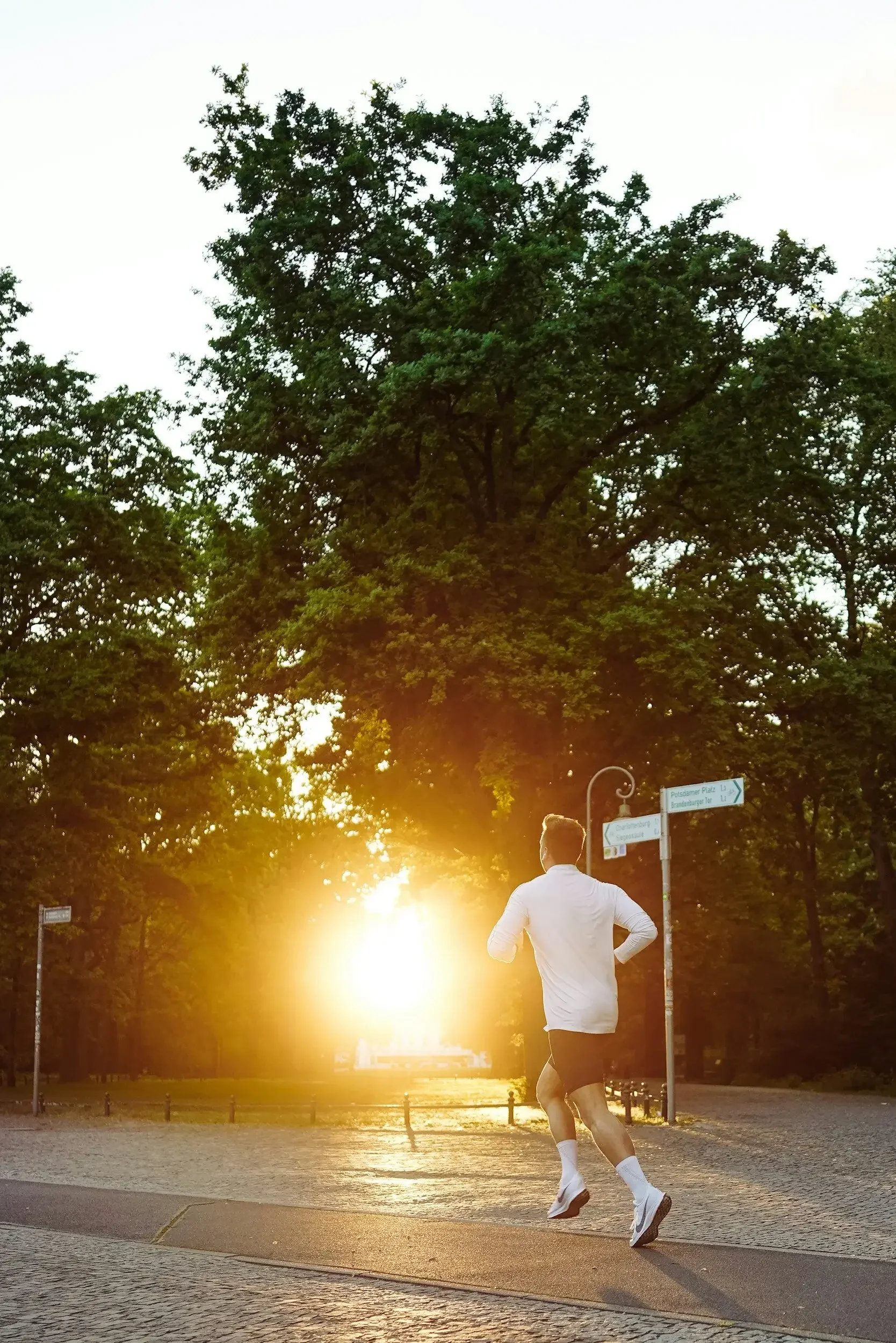 A man jogging on a paved path during sunset in a park with tall green trees and a signpost.
