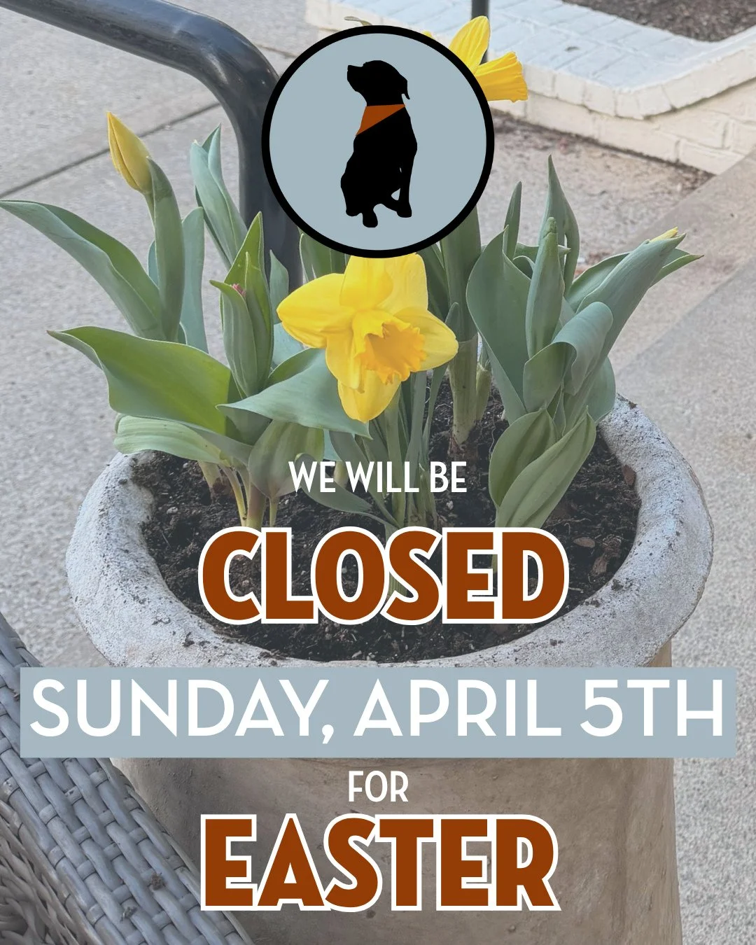 We will be closed tomorrow, April 5th. We will resume normal hours on Monday. Happy Easter! 🌷