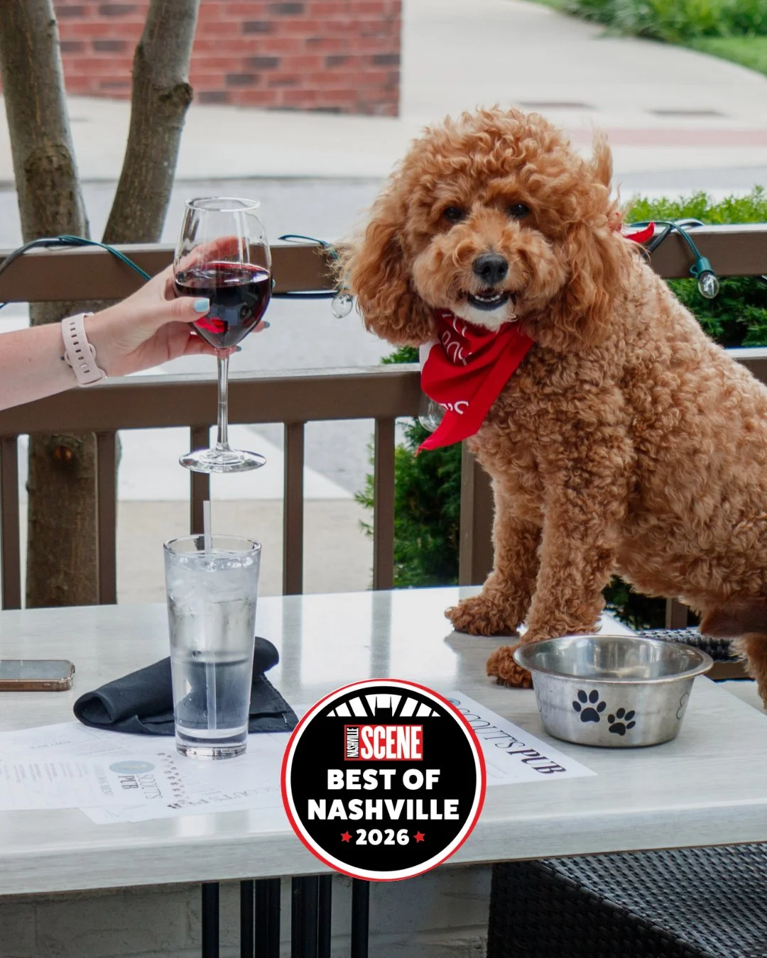 Best of Nashville voting is officially open, and we&rsquo;d be honored to have your vote for Best Dog-Friendly Restaurant. Whether your pup is a patio regular or just really knows how to work the table for a bite, Scout&rsquo;s Pub is always happy to