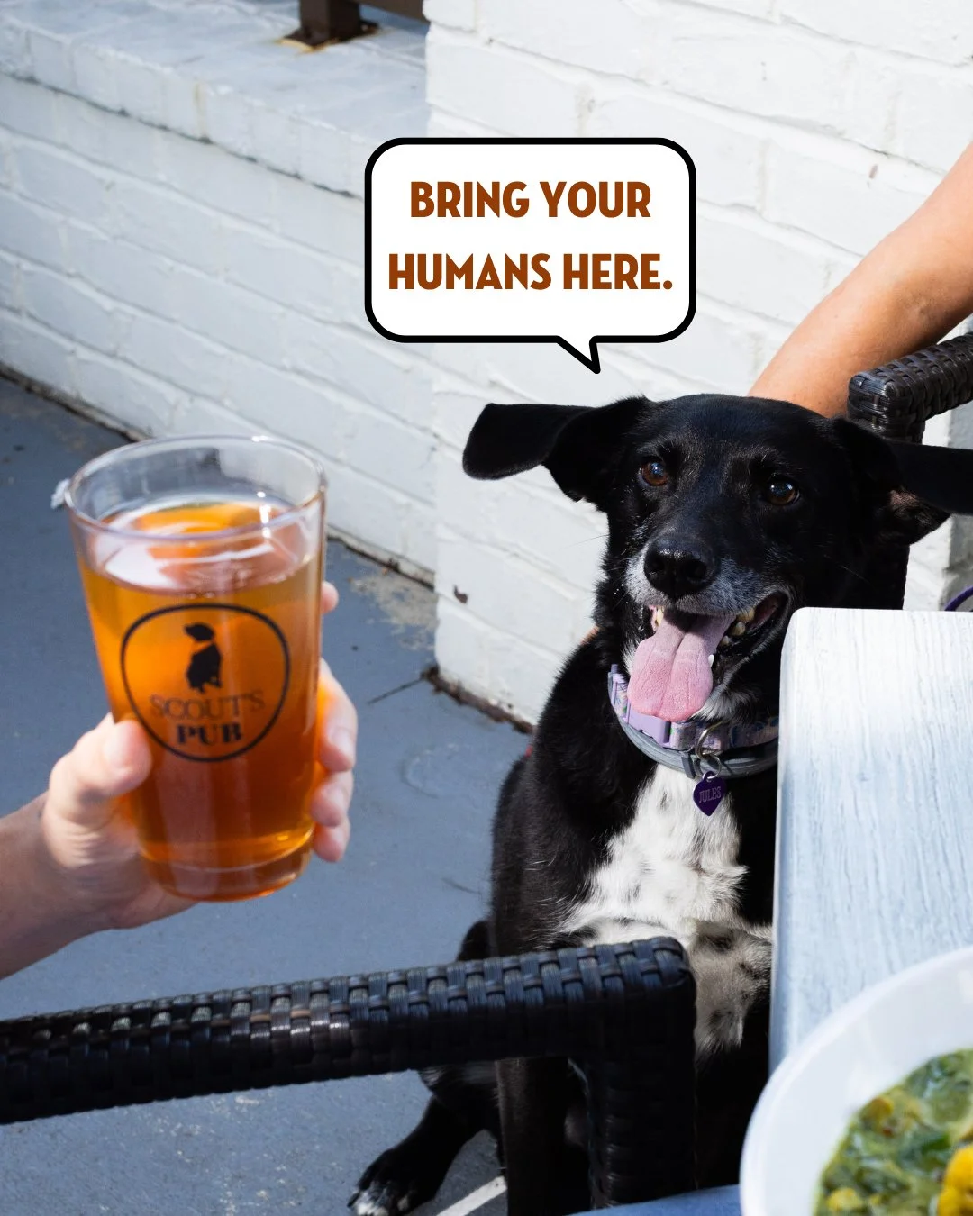 Dogs are welcome. Humans can come too. 🐶🍻

Our pet-friendly patio is the perfect spot to unwind together, and yes, we've got a Good Dog Menu waiting for your favorite four-legged friend.