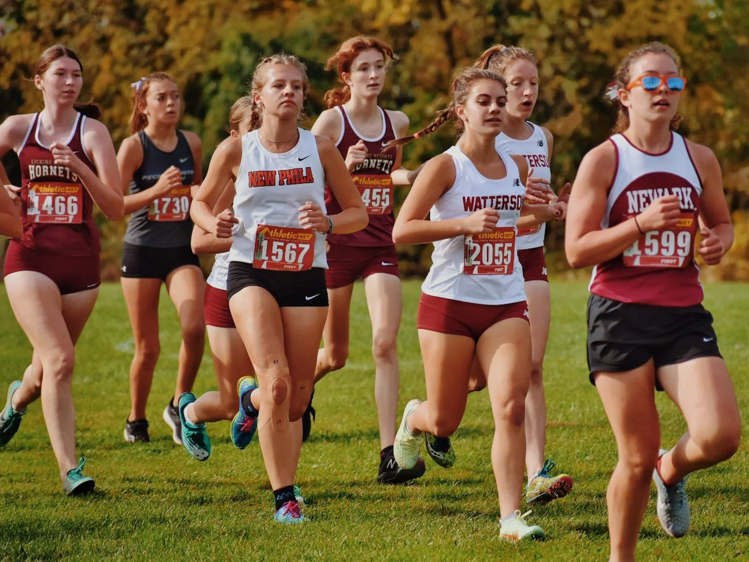 A pack of young cross-country runners racing together on a grass course