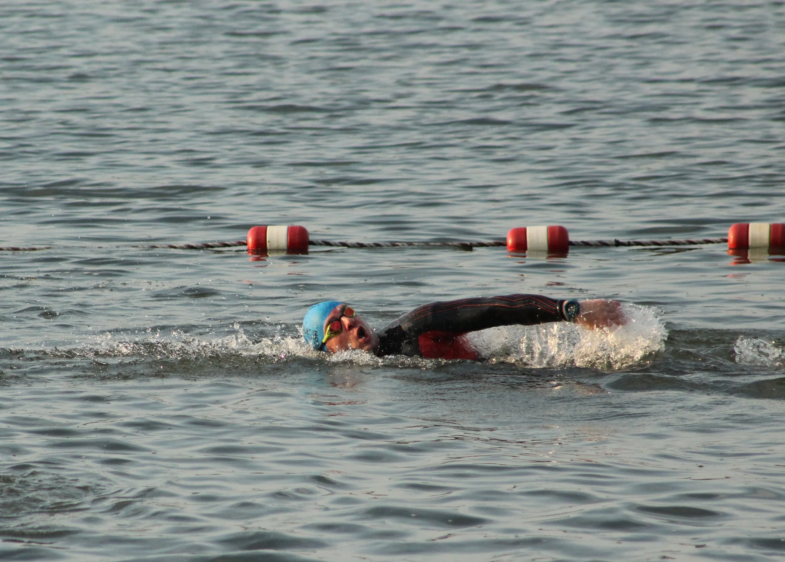 A swimmer in a cap moving along the buoy line