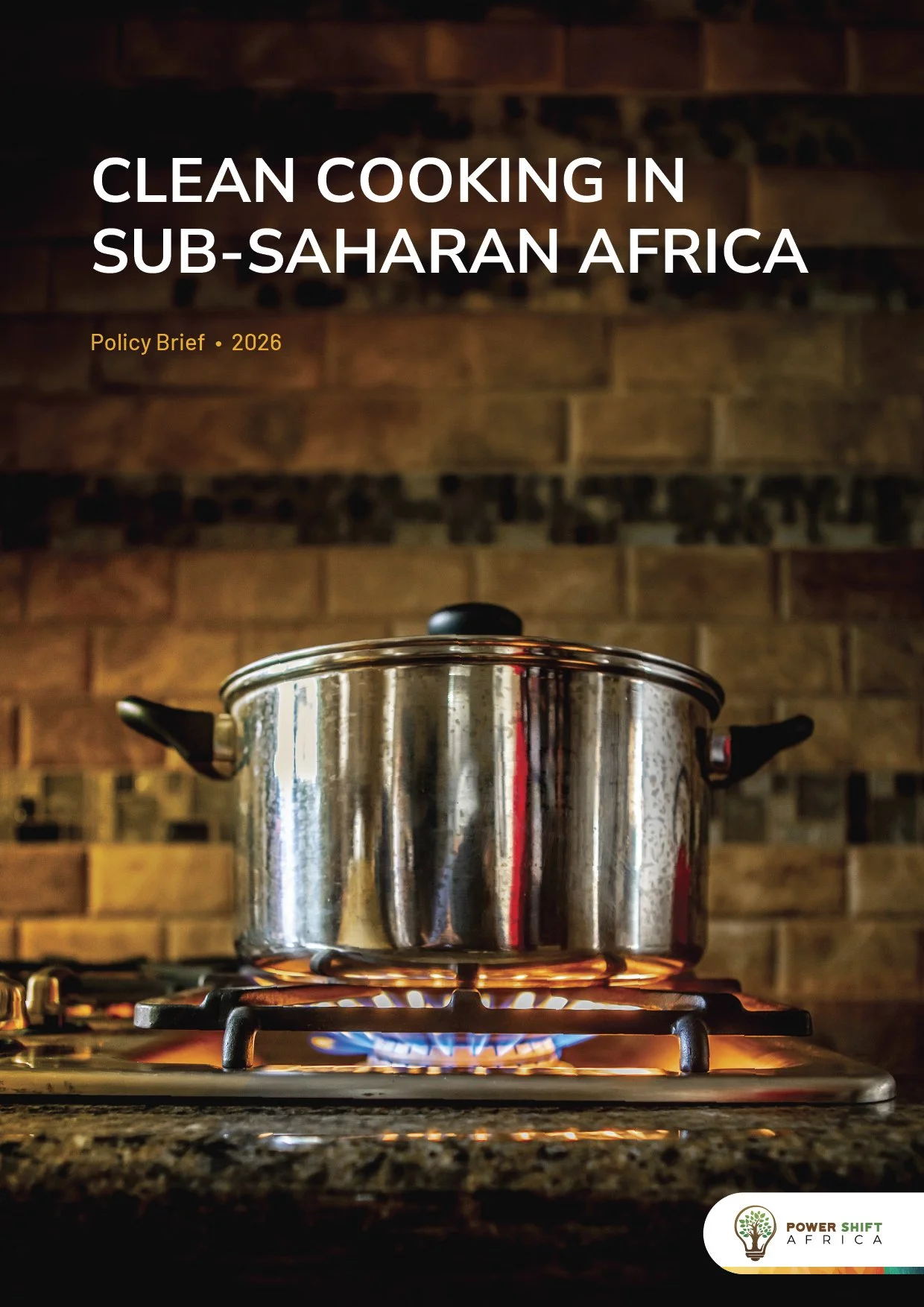 Clean Cooking in Sub-Saharan Africa