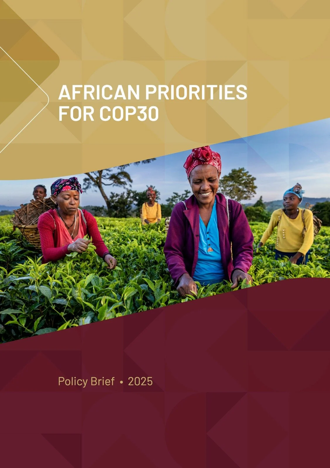 FROM PROMISES TO PRACTICE: NEW POLICY BRIEF OUTLINES AFRICA’S PRIORITIES AT COP30