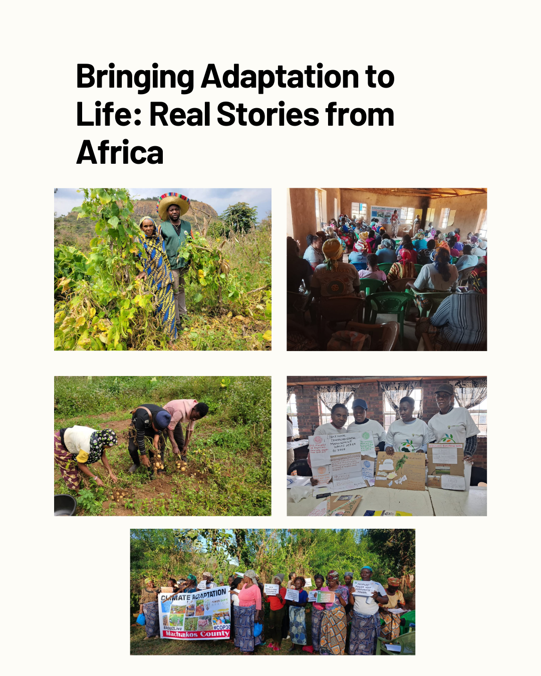 Bringing Adaptation to Life: Real Stories from Africa