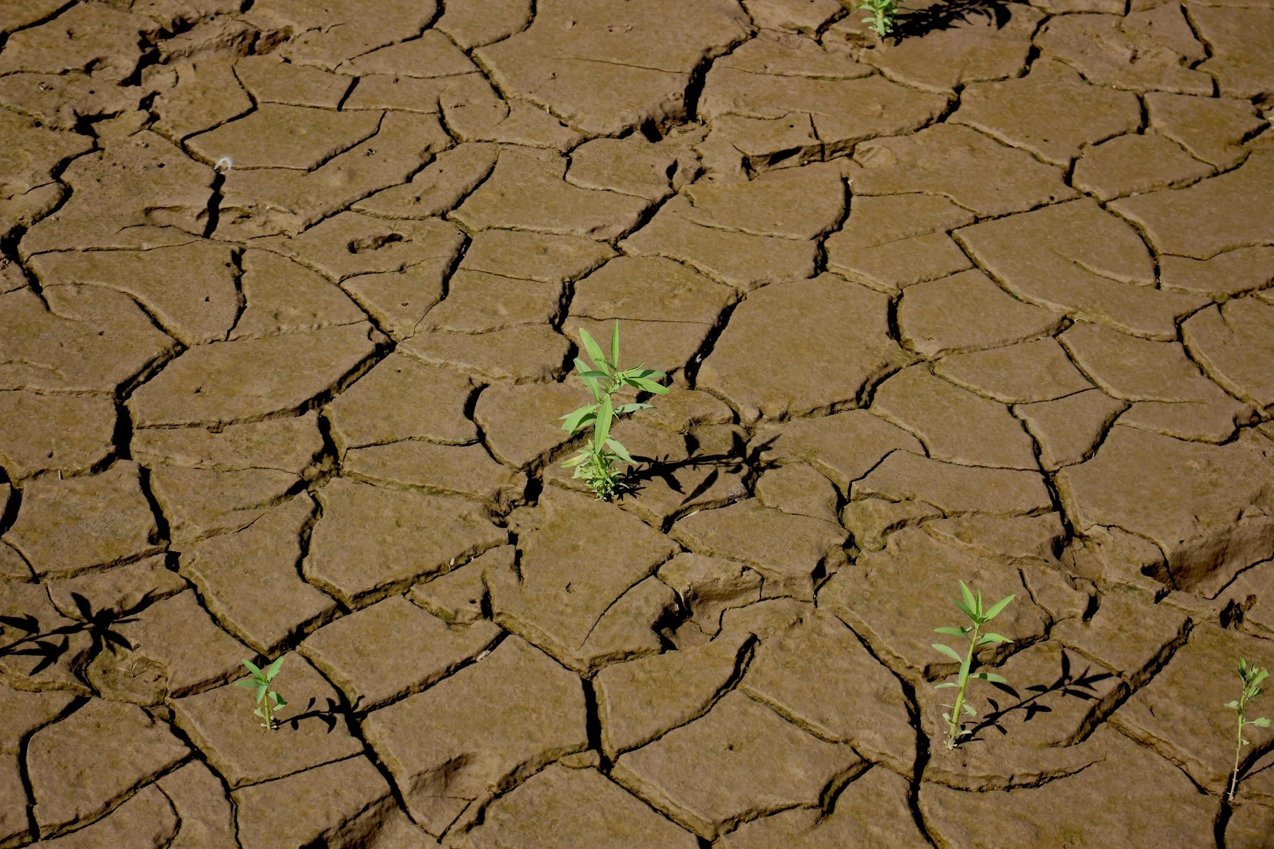 AfDB Bolsters Concessional Finance for Adaptation, Development in ADF’s 17th Replenishment