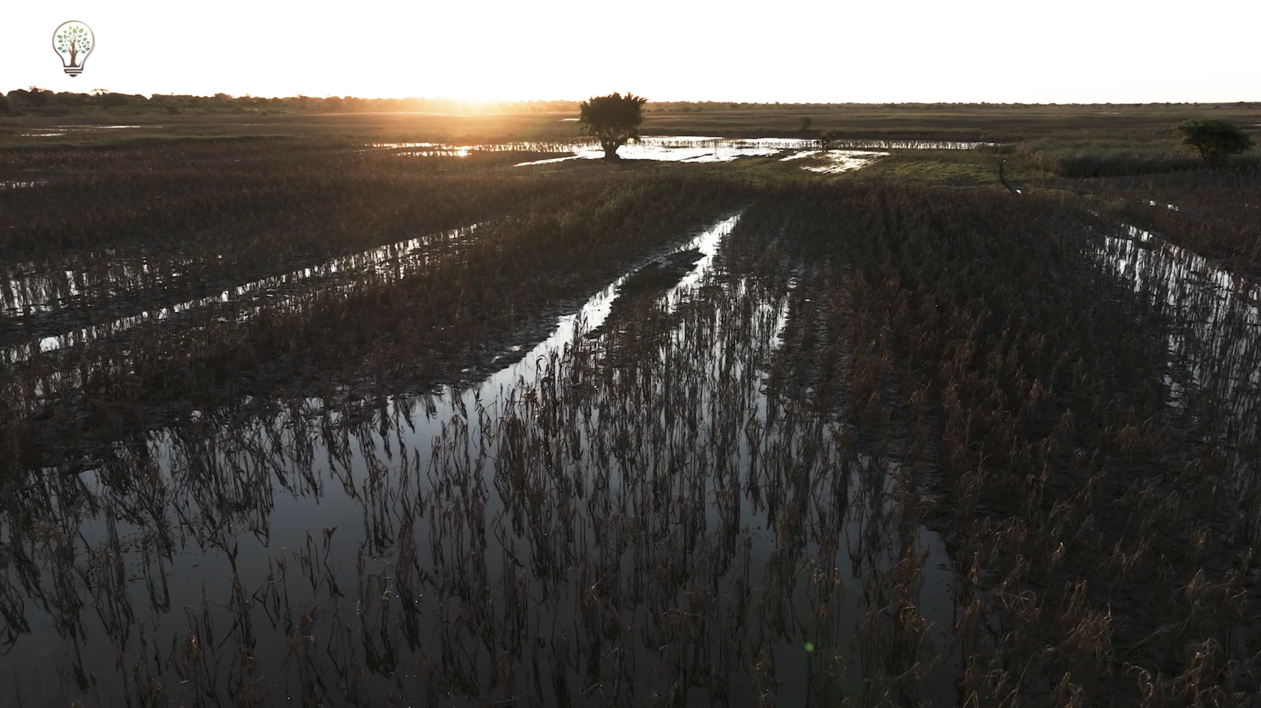 That sinking feeling: Why Mozambique is one of the world’s most climate-vulnerable nations