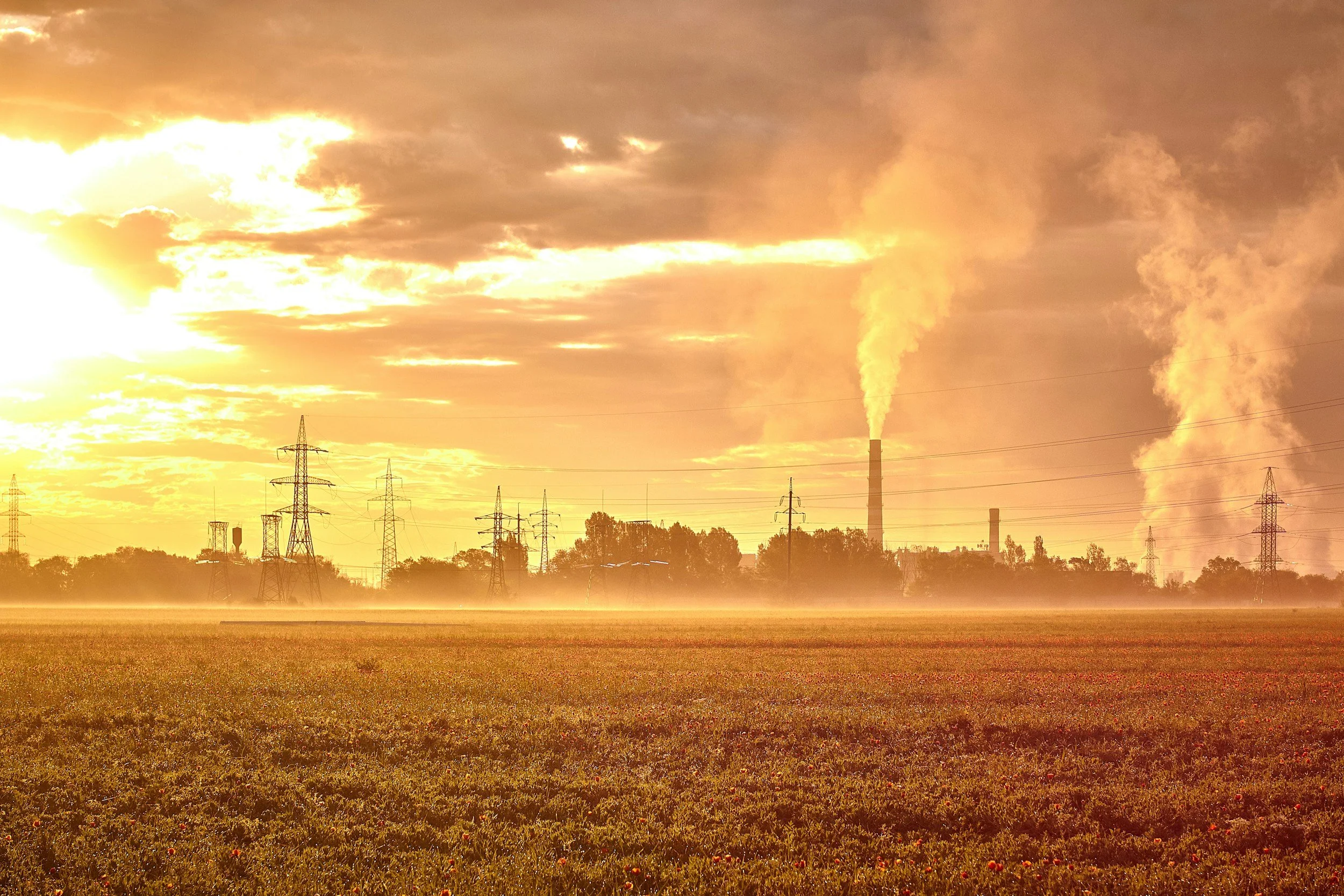 Tackling Methane Emissions: A case for Climate Adaptation