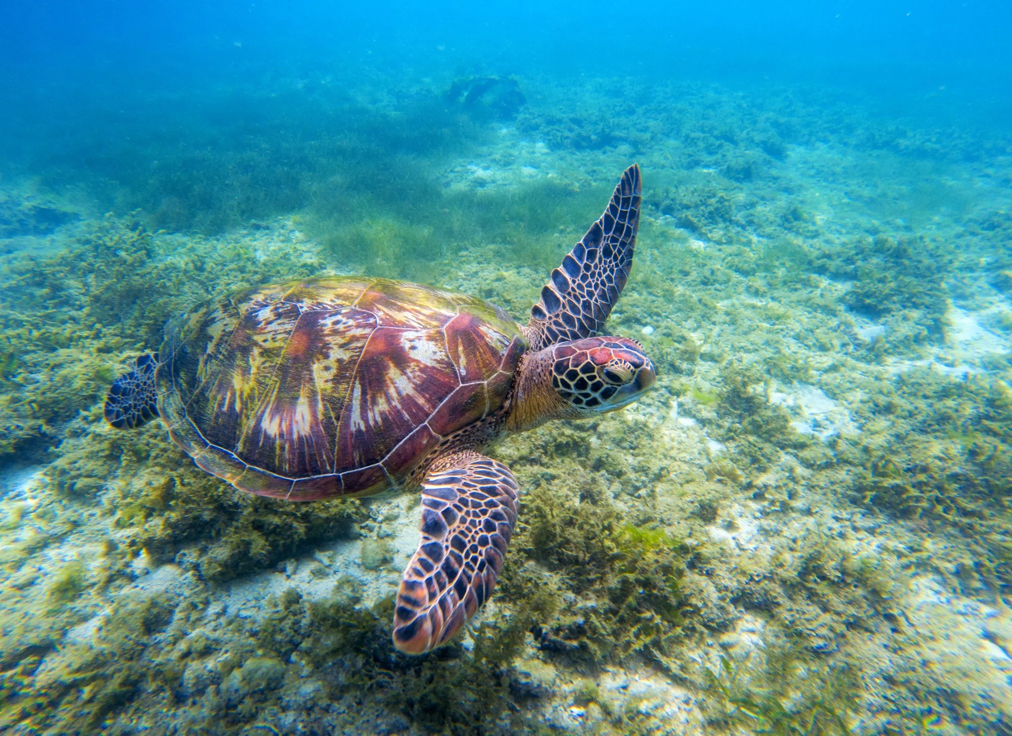 BRIDGING THE&nbsp;INCLUSIVITY&nbsp;GAP IN&nbsp;OCEAN DIALOGUES&nbsp;