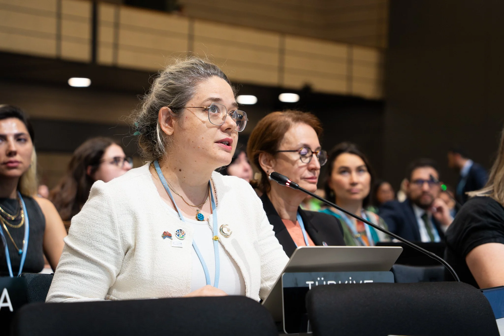 EXPLAINER:&nbsp;WHAT IS RULE 16&nbsp;OF THE UNFCCC?