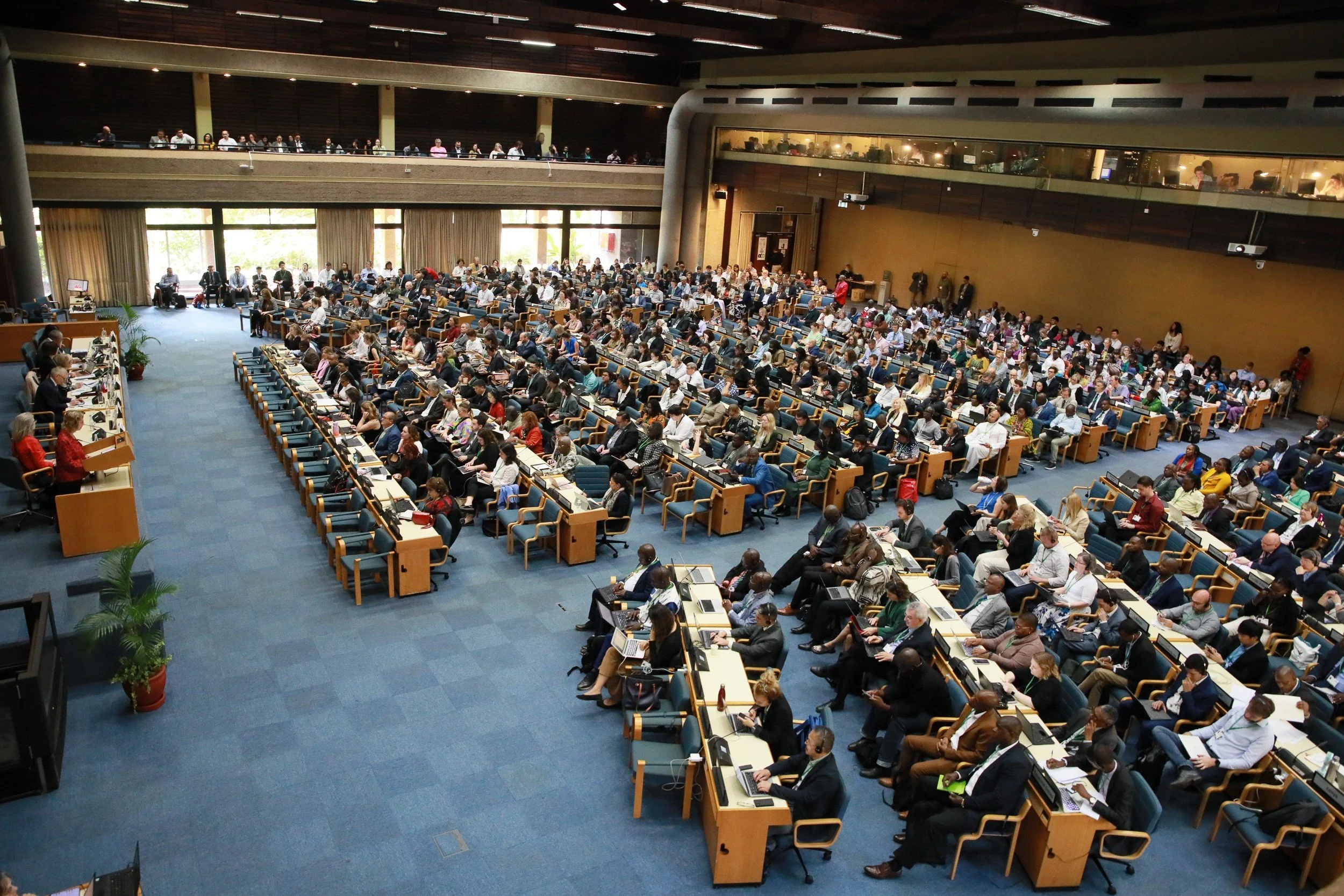 AFRICA'S AGITATION AT&nbsp;NAIROBI BIODIVERSITY CONFERENCE&nbsp;