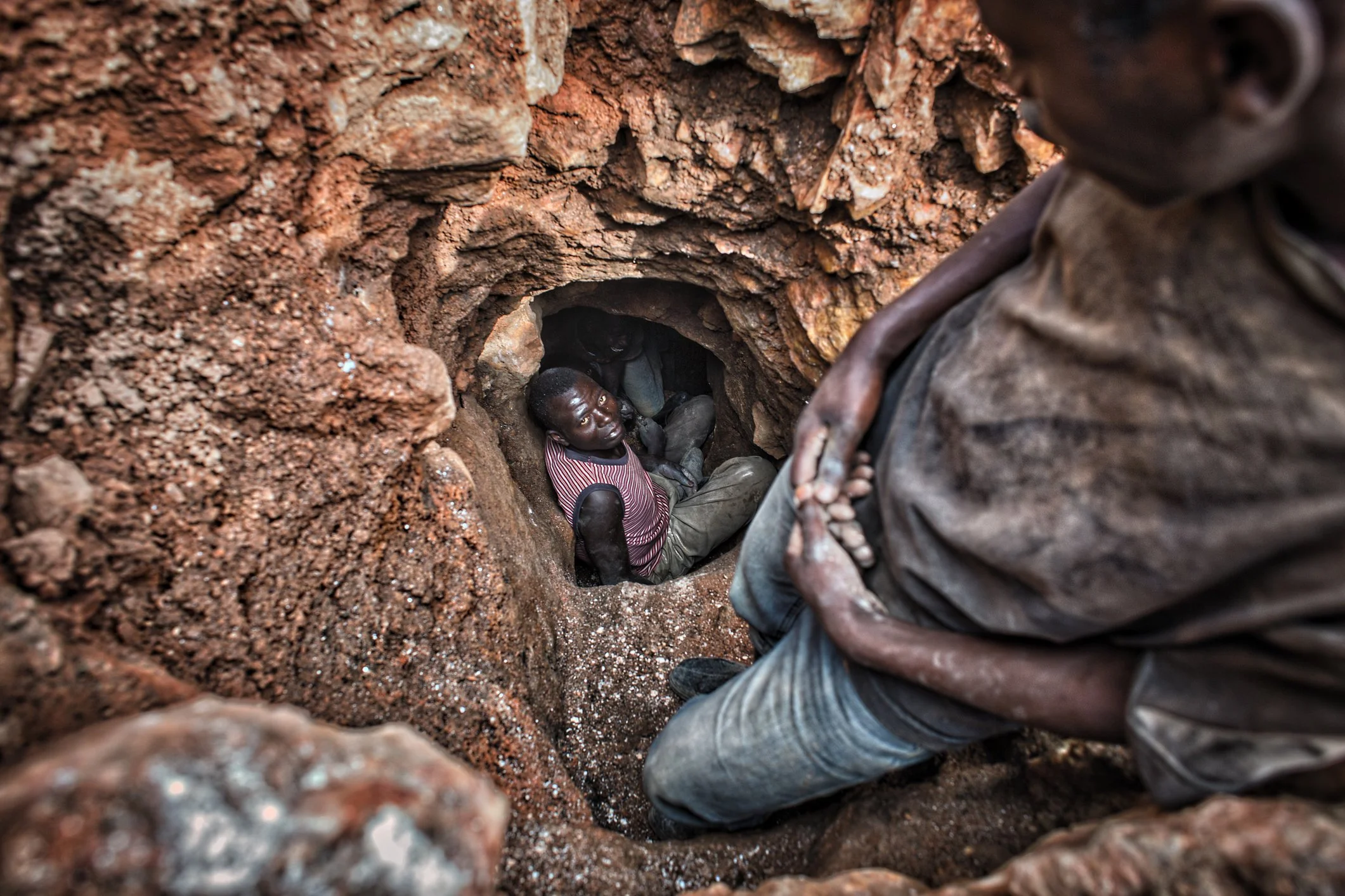 How DRC war undercuts local communities, threatens Congo Basin Forest ecosystem&nbsp;
