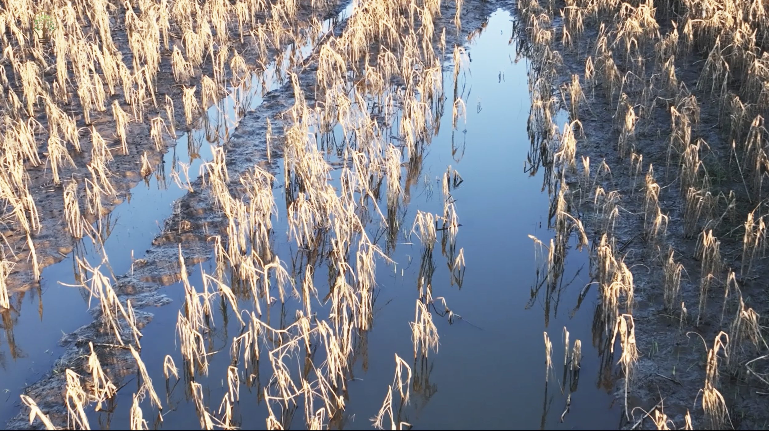 ON THE TRAIL OF THE LIMPOPO: MOZAMBIQUE FLOODS EXPOSE THE CASE FOR LOSS AND DAMAGE FUND