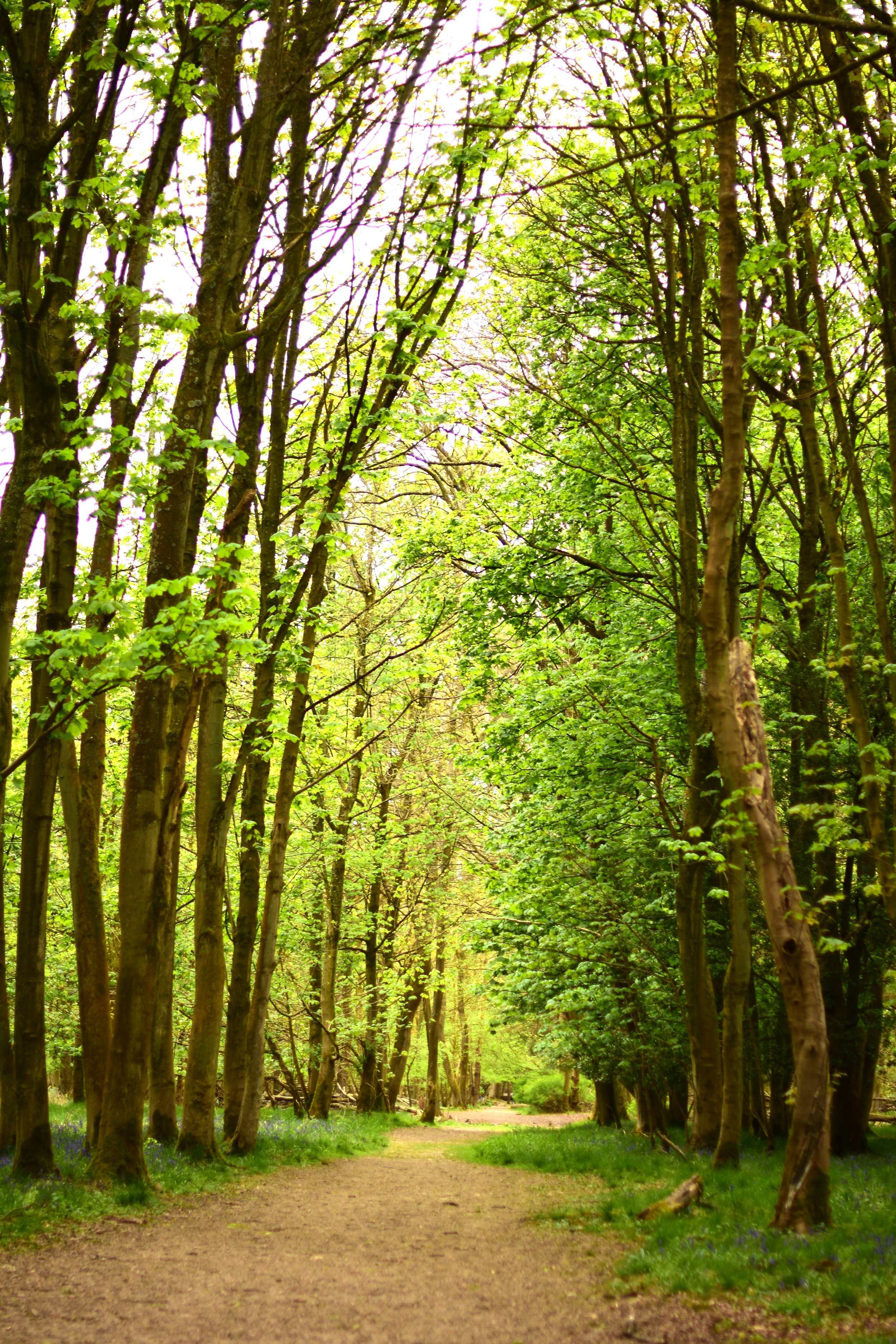 Joel Grufferty Counselling providing Integrative Talking Therapy, Counselling & Coaching with Compassion and Empathy either Online or In-Person for Young People and Adults with issues including Depression, Anxiety, Addiction, Trauma & Neurodiversity