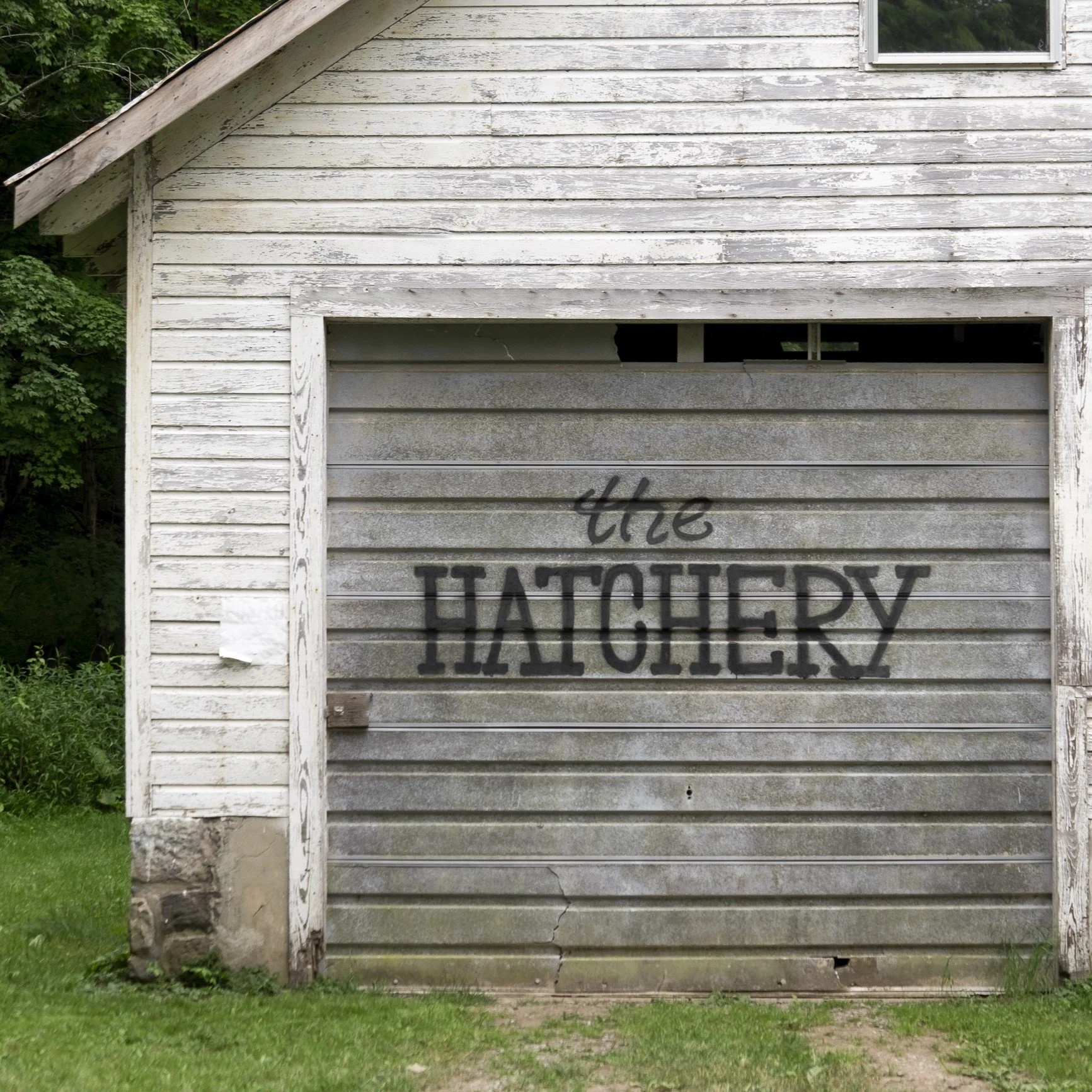 hatchery 1.1.jpg