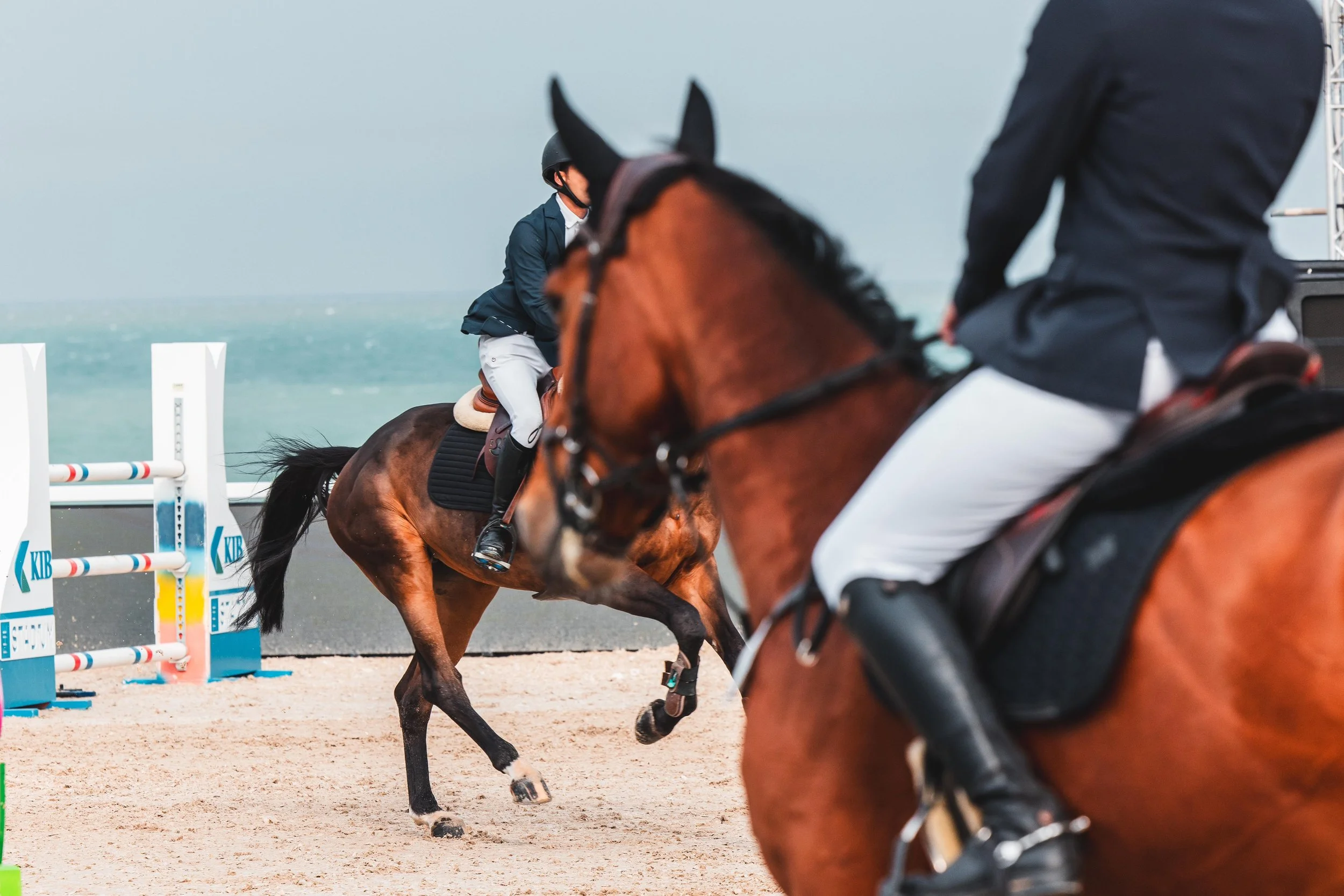 WhatsApp Image 2024-01-26 at 10.17.09 (1).jpeg