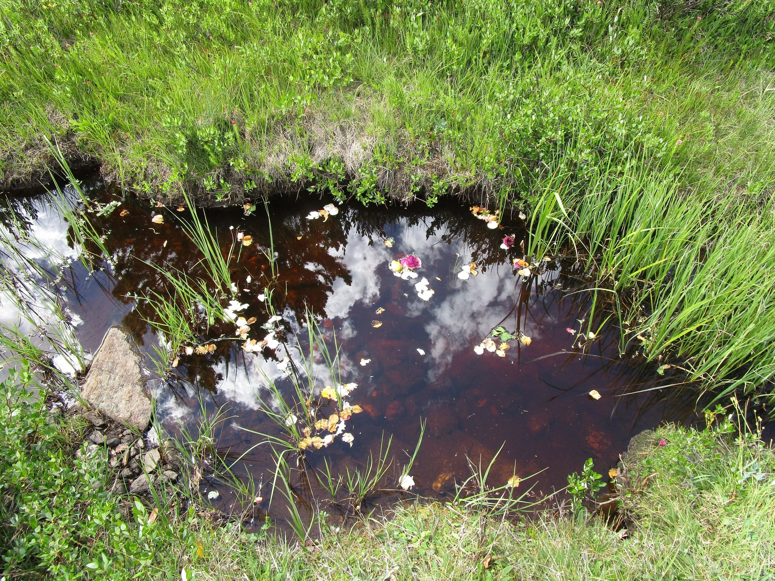 Reuniting the Waters: The Headwaters &nbsp;
