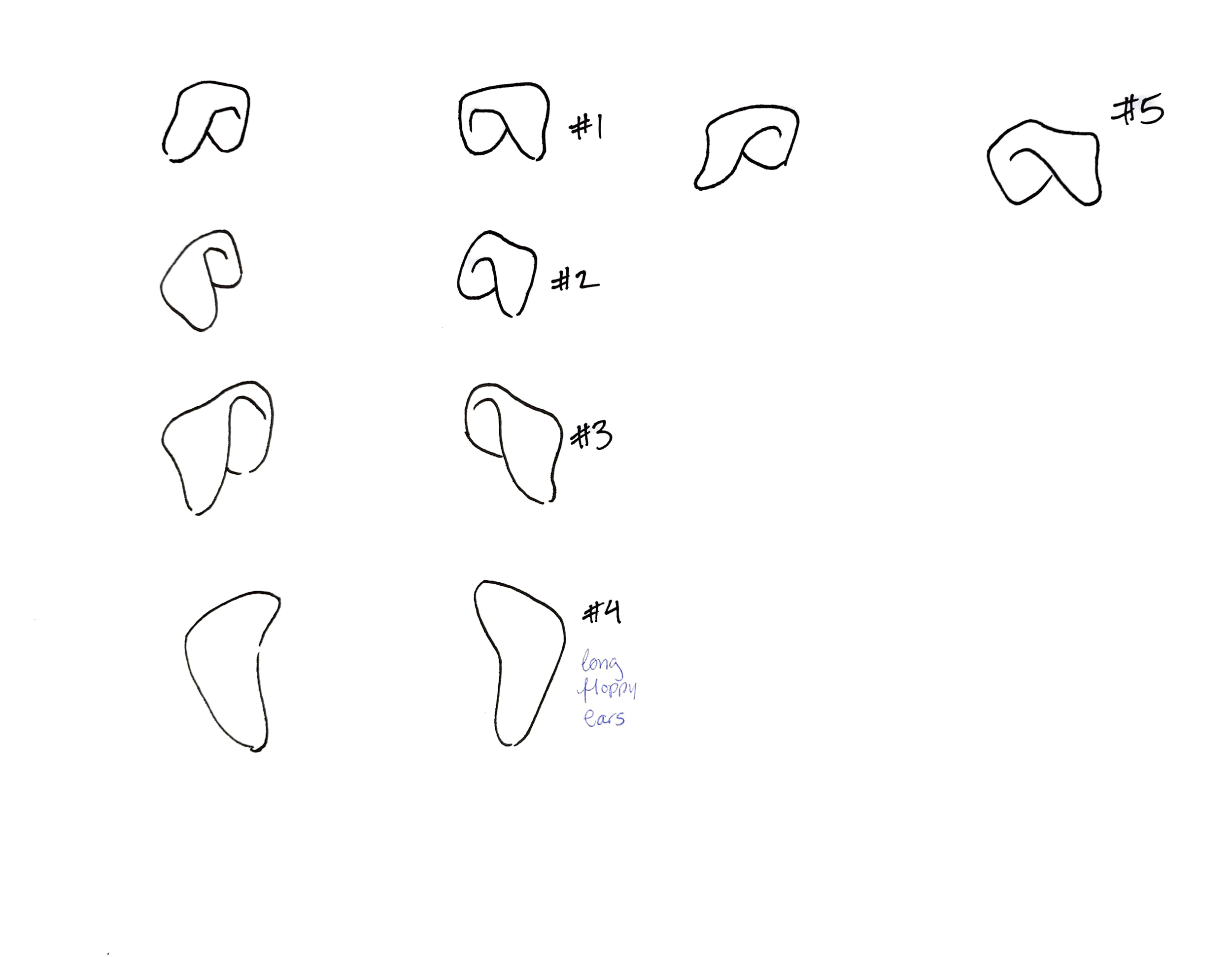 Adobe Scan Feb 23, 2022.png