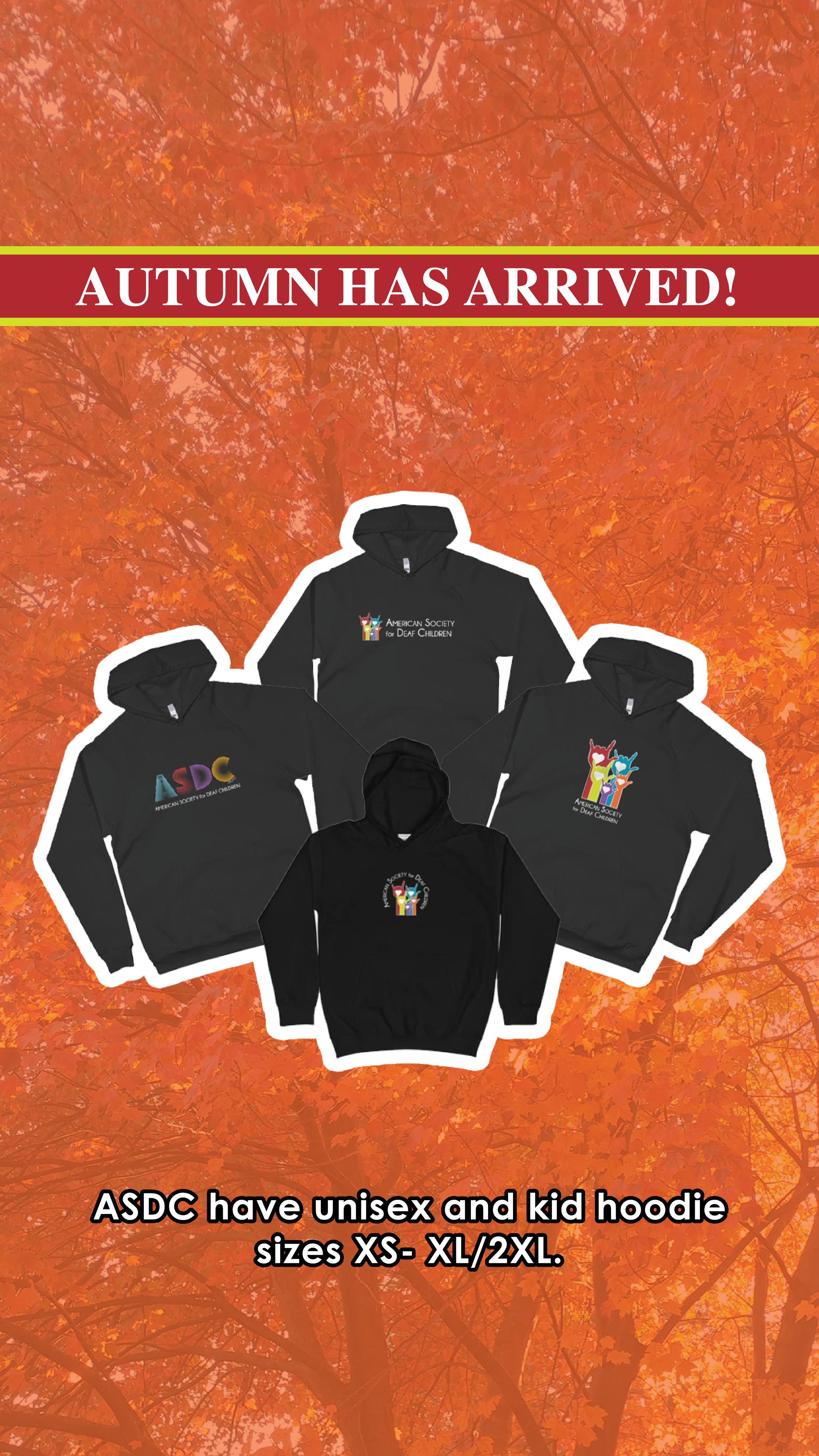 AmponinEmily_IG story_ASDC Sweater.png