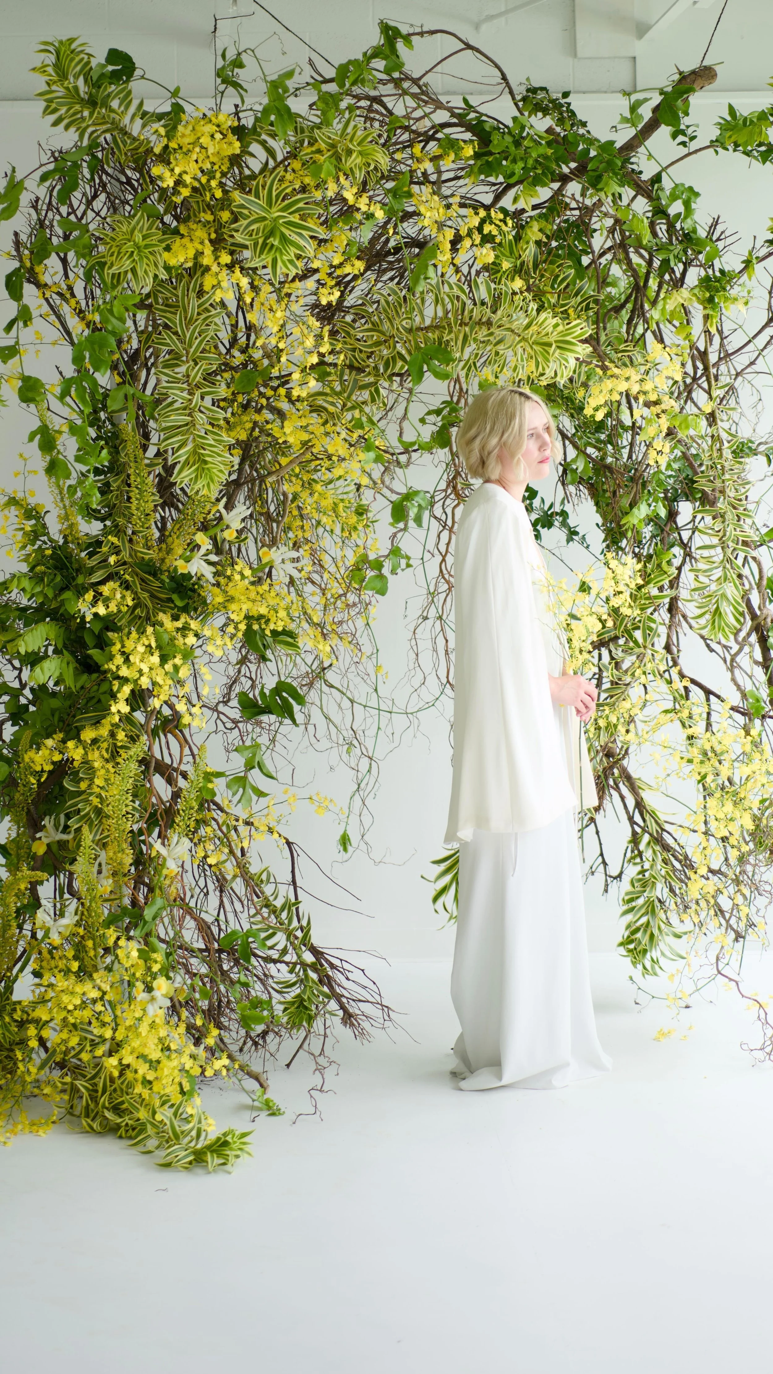 Links — Susan McLeary a.k.a. Passionflower Sue