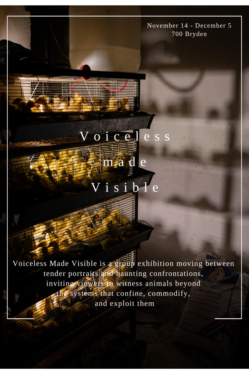 Voiceless made Visible