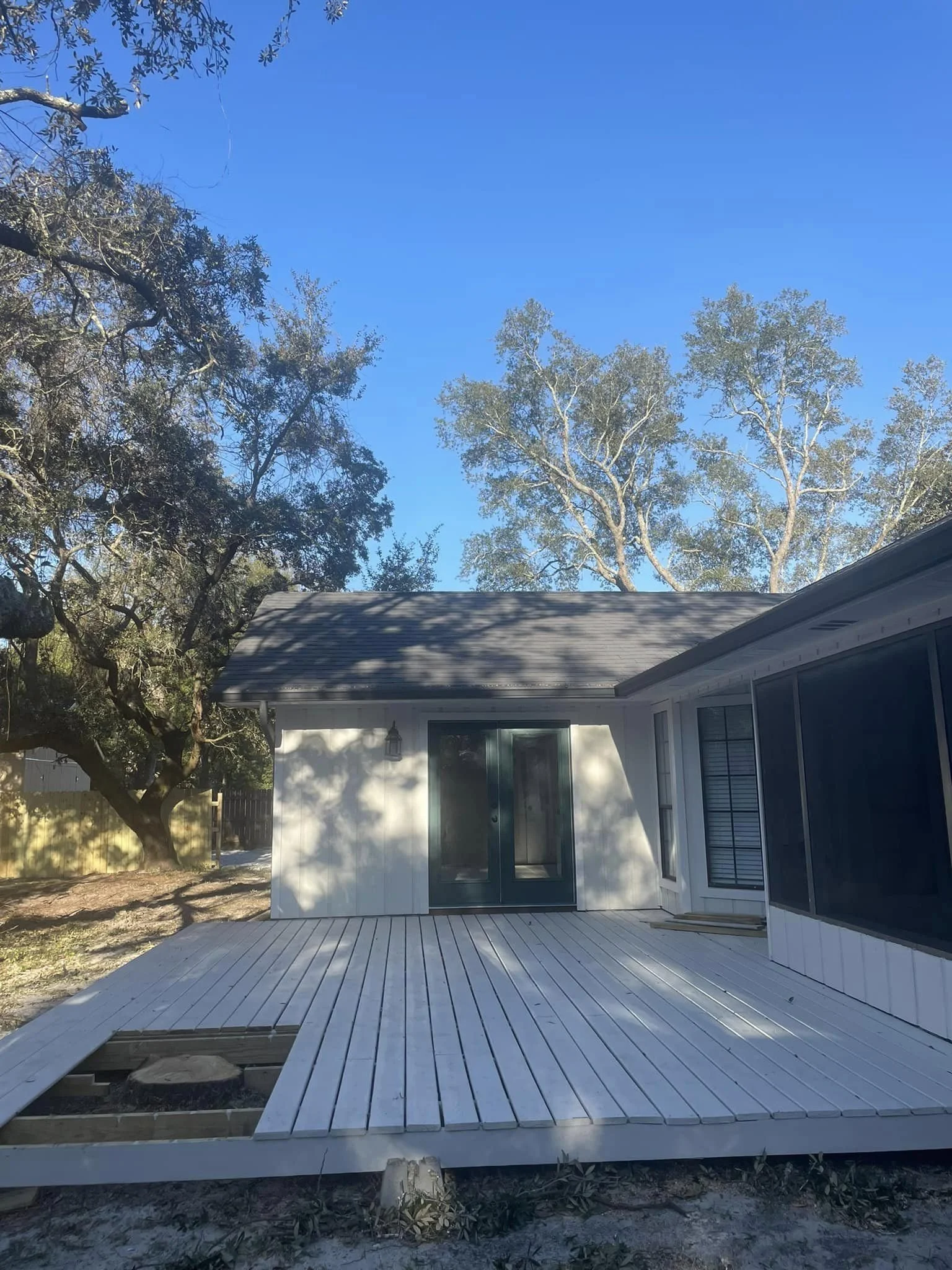 after tree removal.jpeg