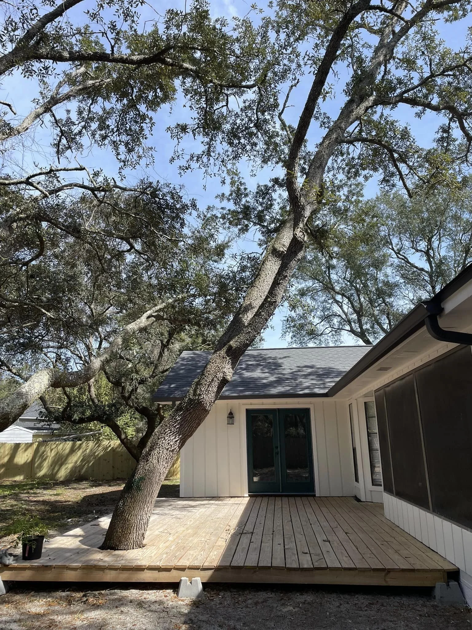 before tree removal.jpeg