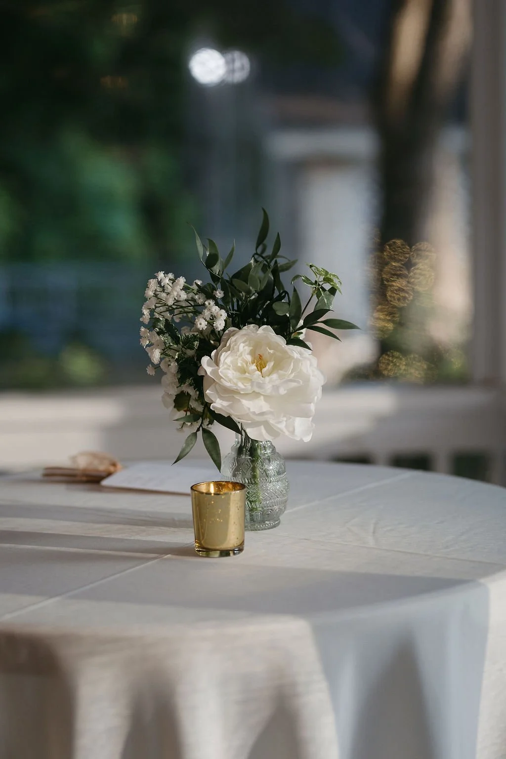 Wren Photography