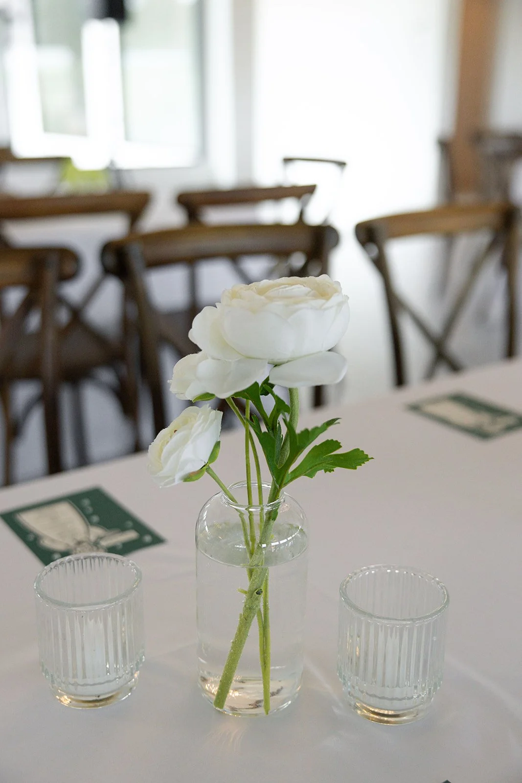 HANNAHJOHNSTONPHOTO_44.jpg