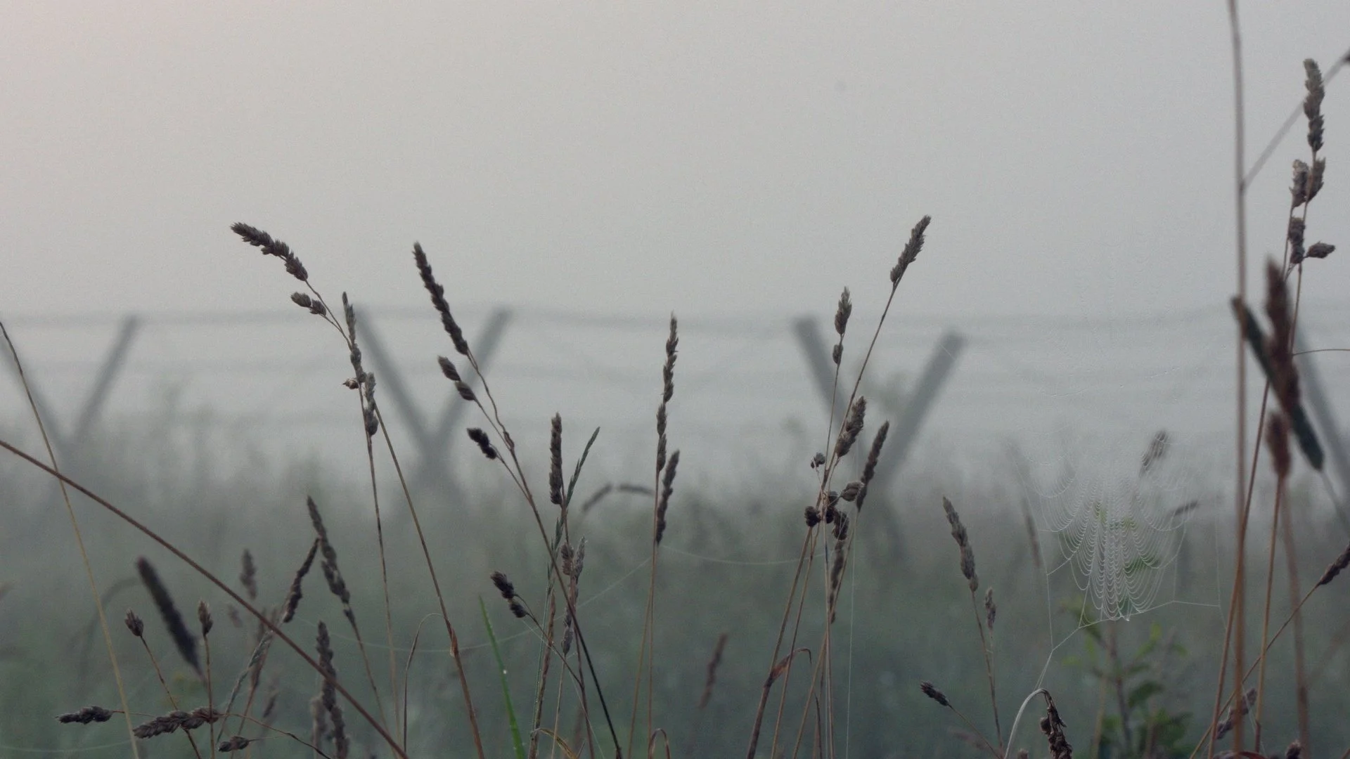 Borderline_ep2_WhereTheWorldEnds_still002.jpg