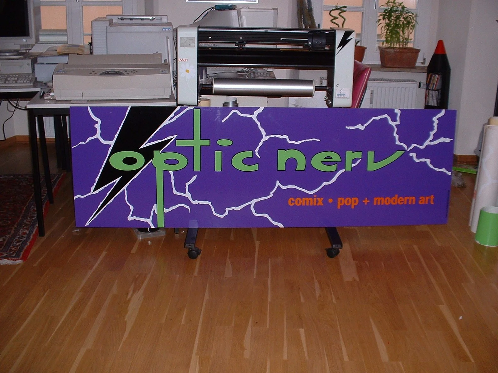 optic nerv frontal 2.JPG