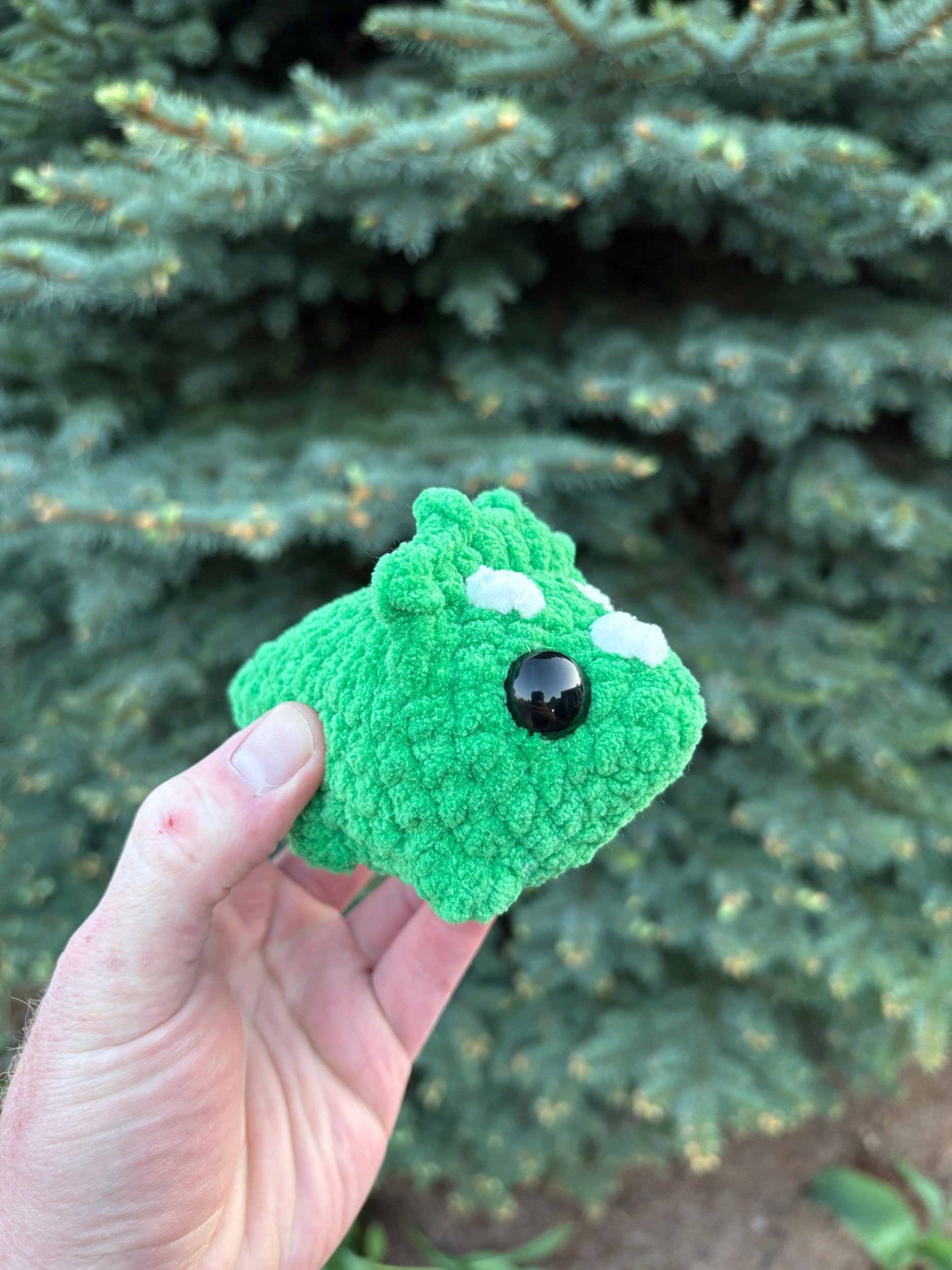 D05660C8-19D0-4874-87CF-174DF6F25A3C.jpeg