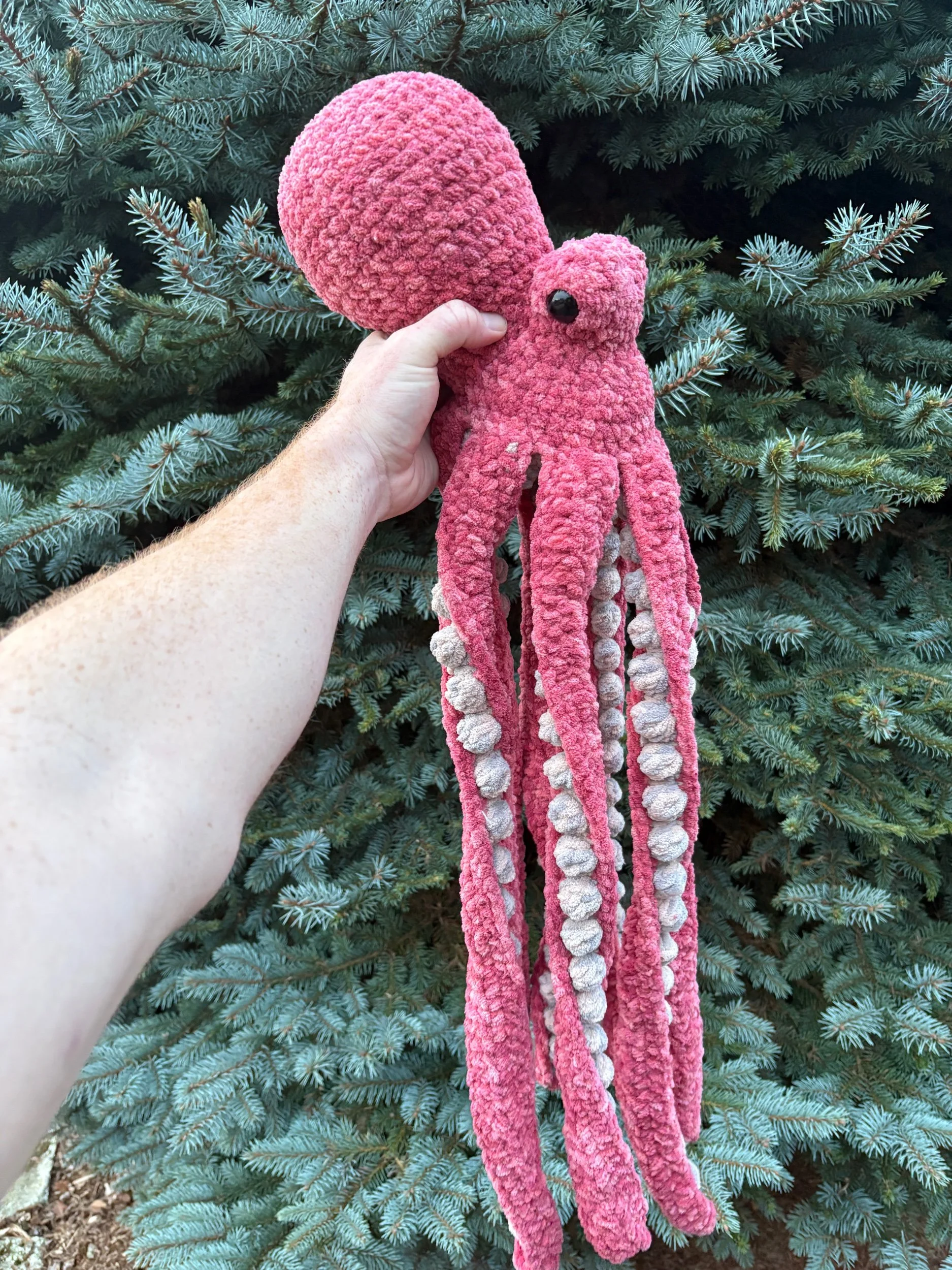 Anchor the Octopus