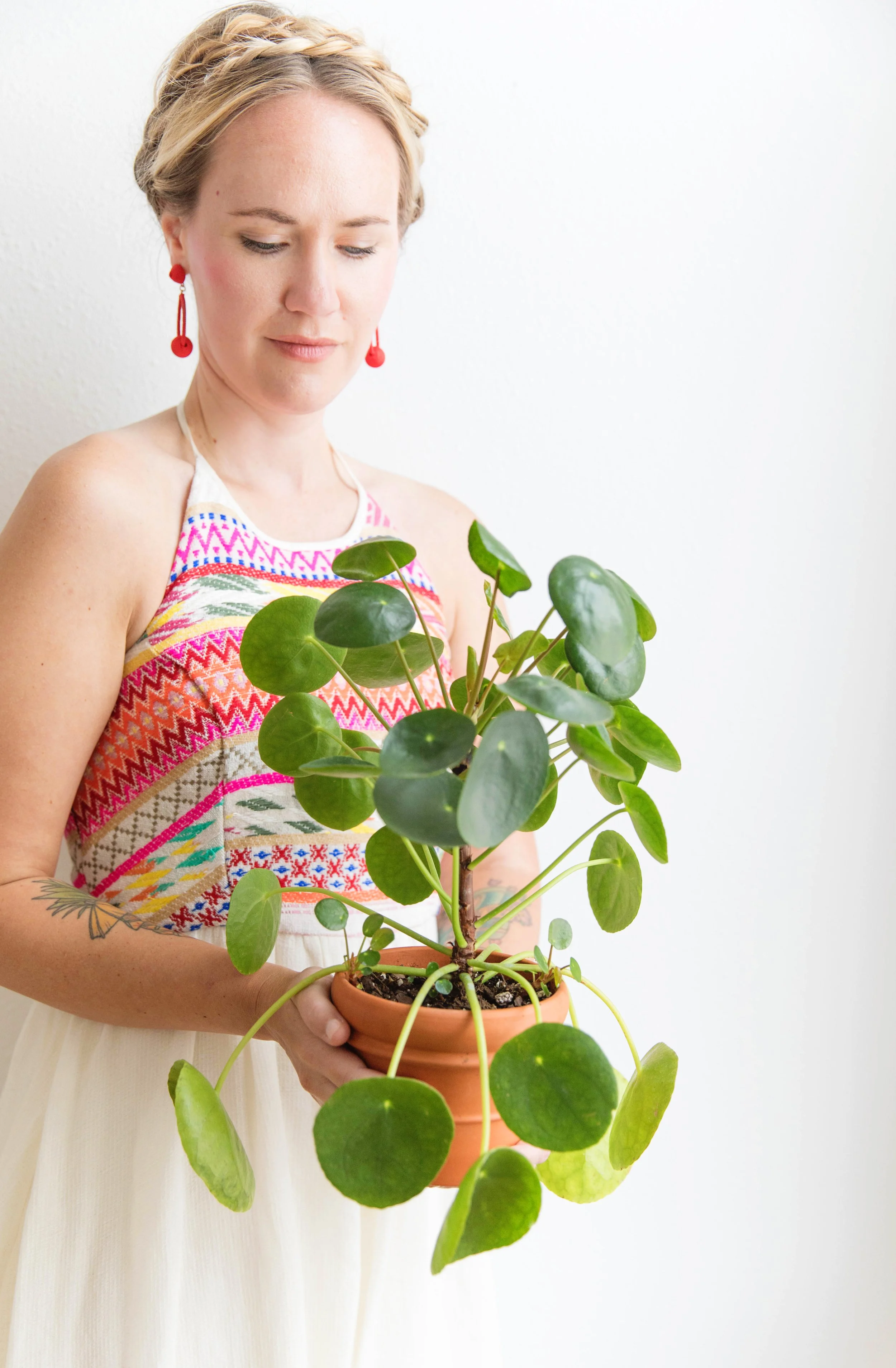 pilea-1.jpg