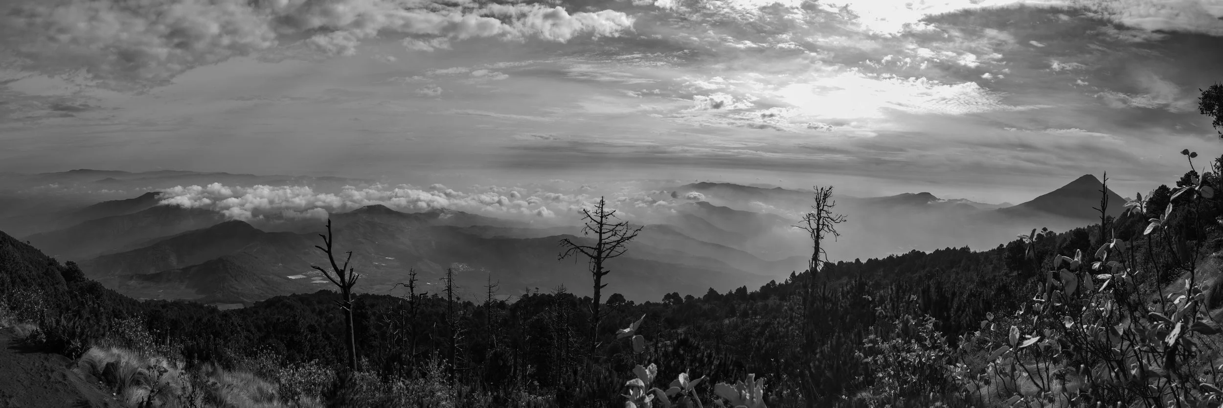 IMG_3289-Pano.jpg