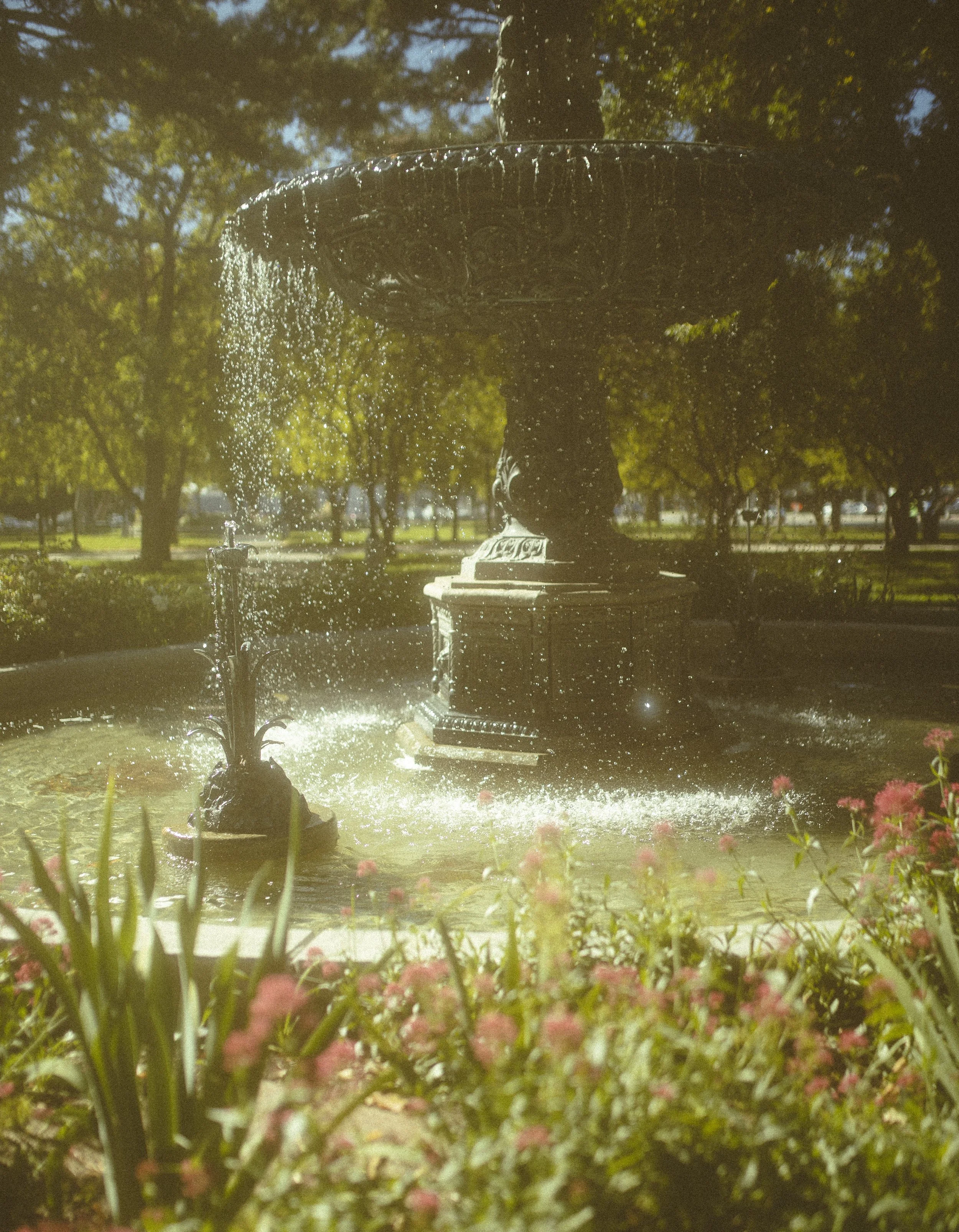 4A1A0993.jpg