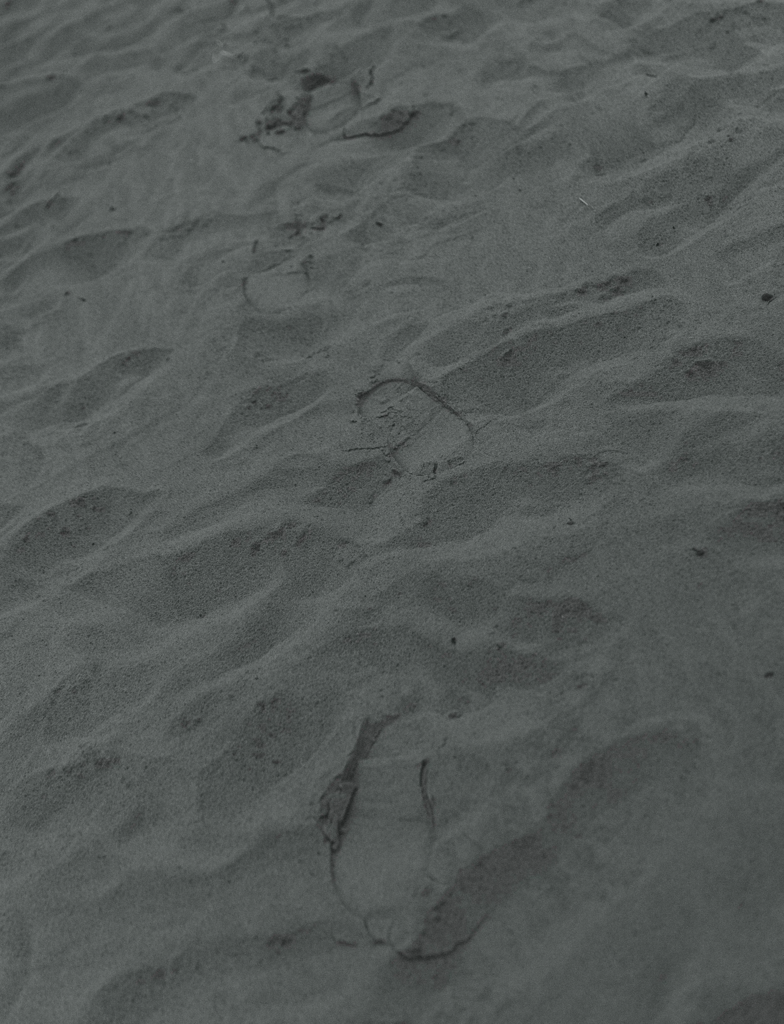 4A1A8008.jpg