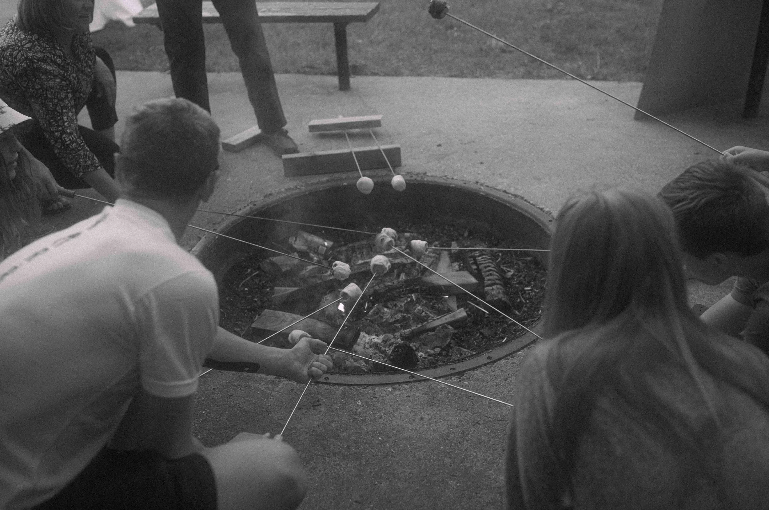 IMG_4462.jpg