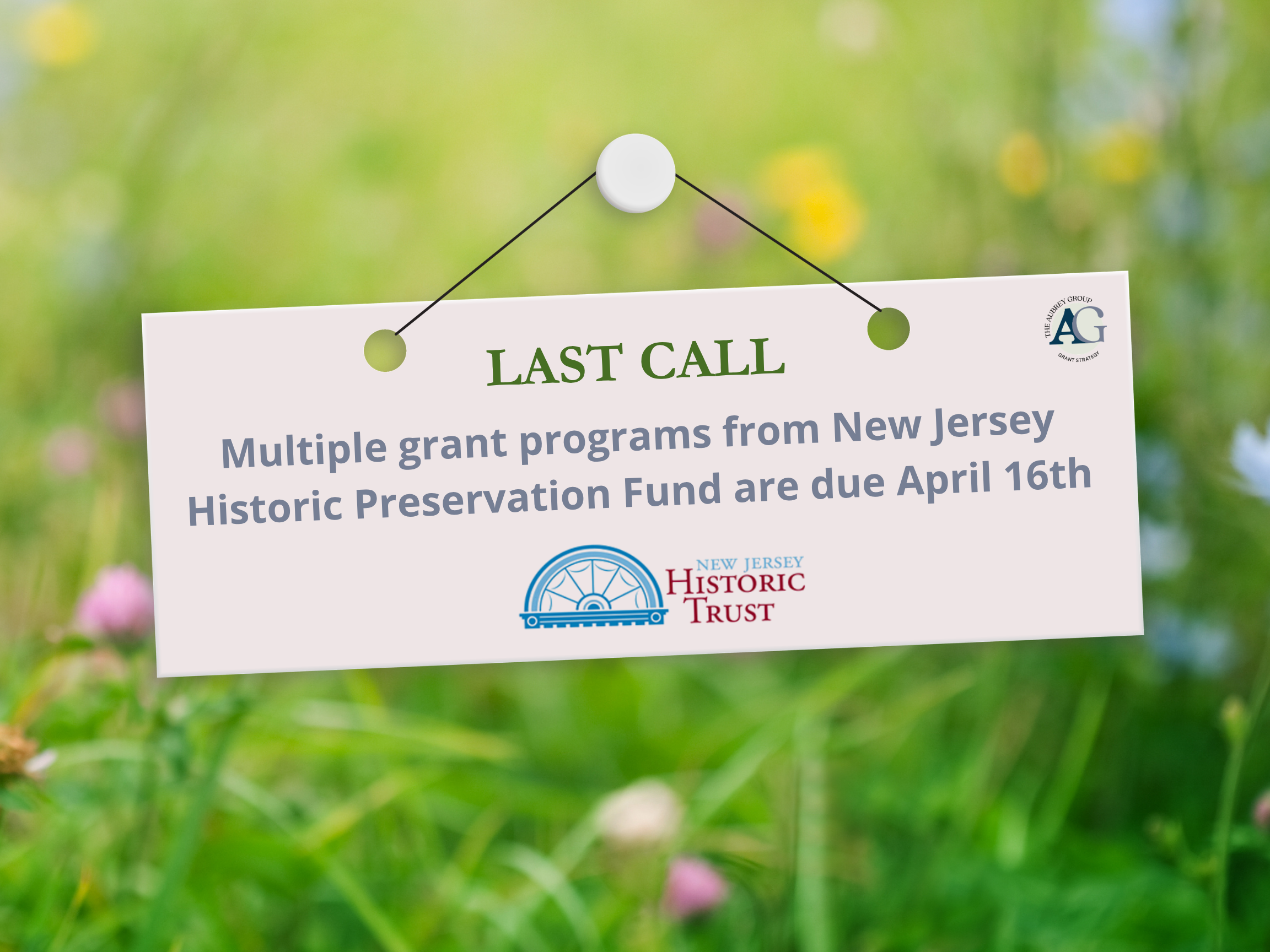 Still in Bloom: Your Weekly Grant Picks