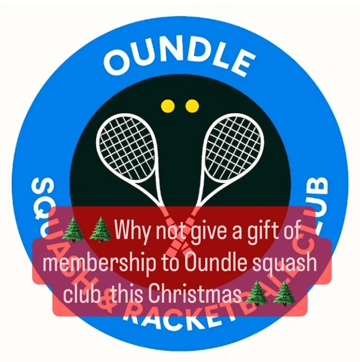 Why not give a years membership to Oundle Squash Club this Christmas