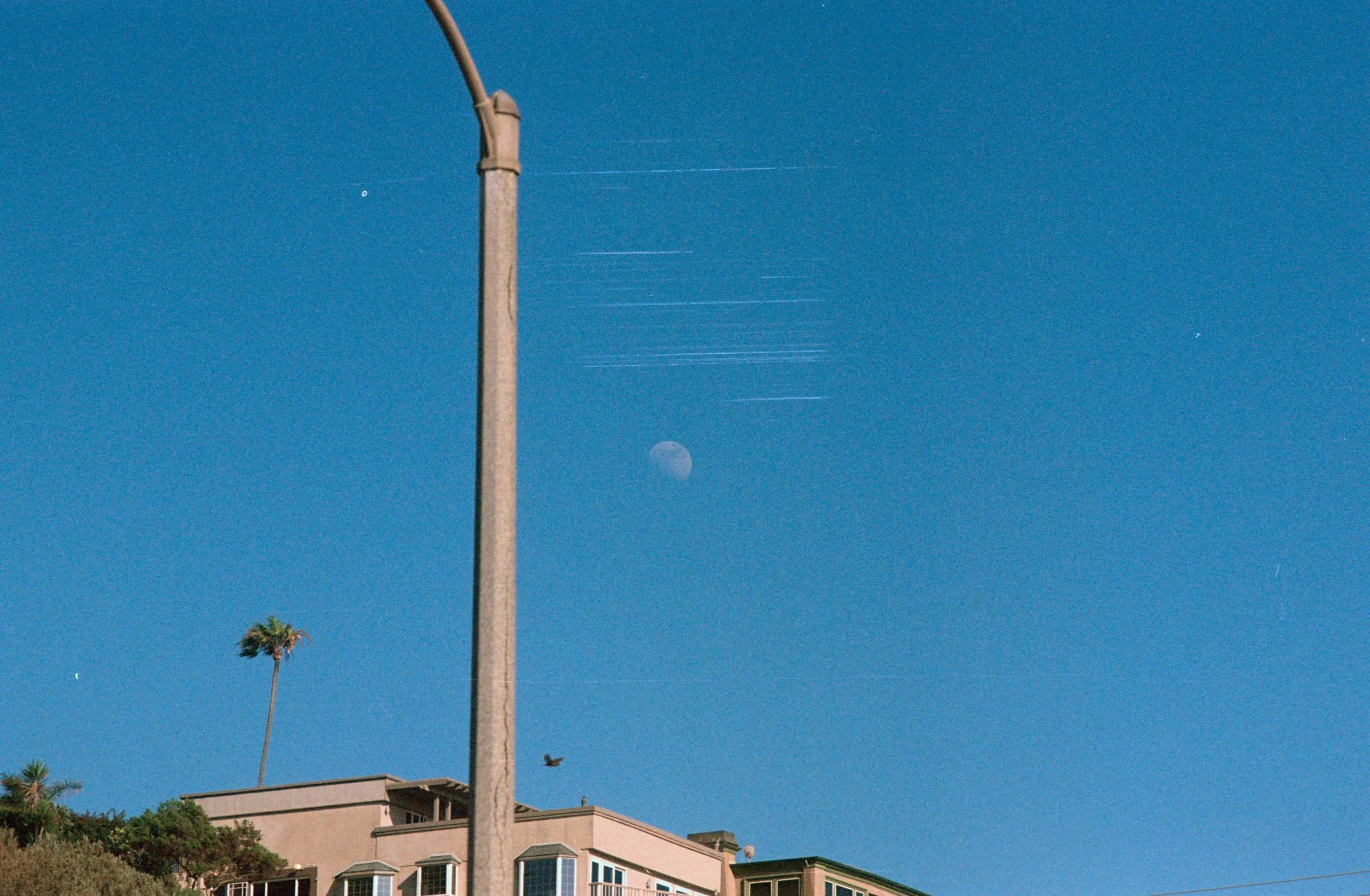 FE065_Fuji-c400_0028.jpeg